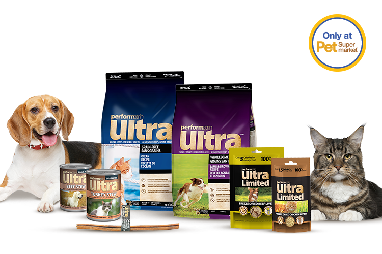 A variety of Performatrin Ultra pet food products displayed with a Beagle and a cat, along with the text "Only at Pet Supermarket."