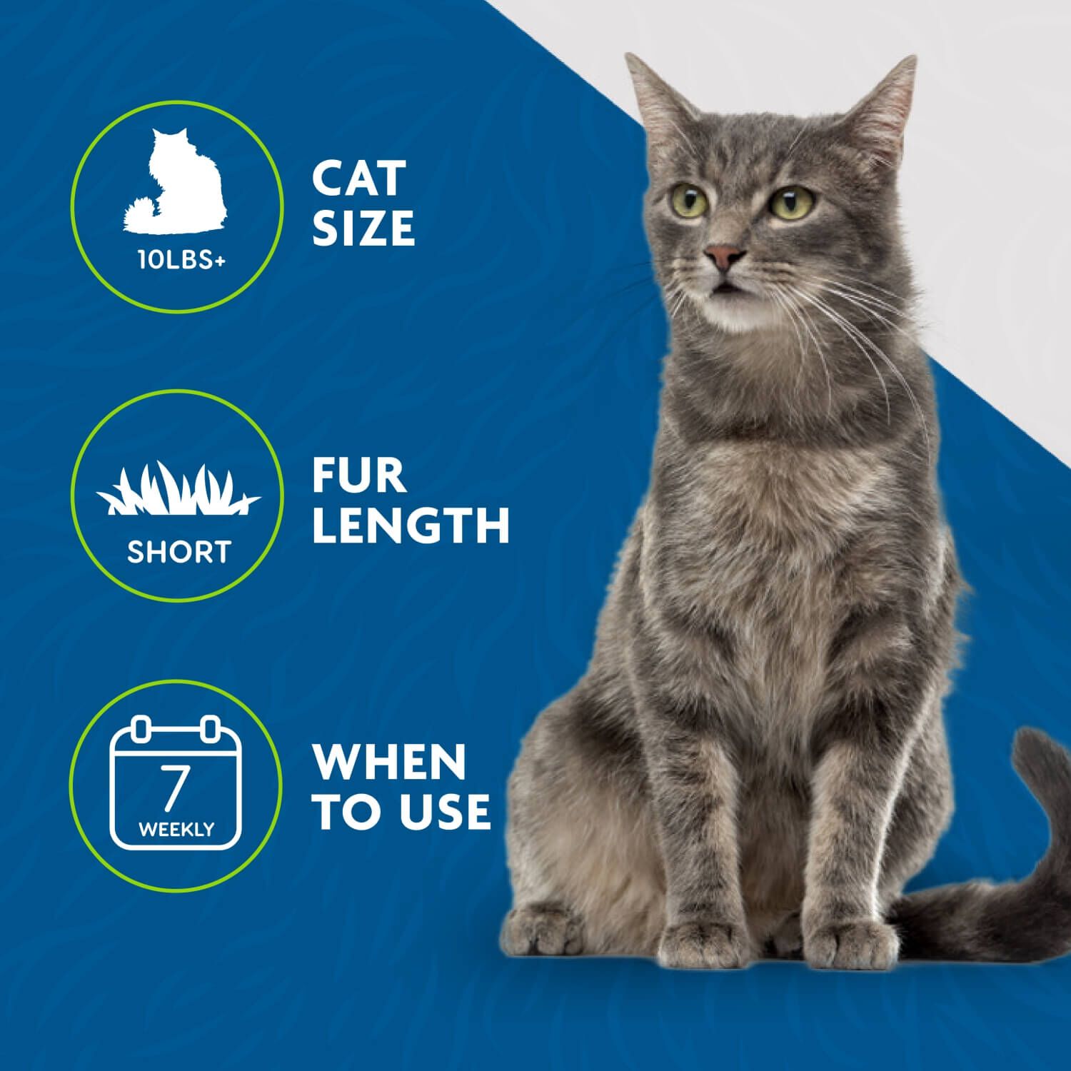 Furminator Undercoat Deshedding Medium/Large Cat Short Hair