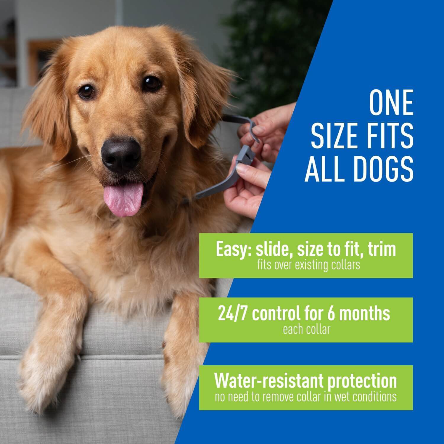 Adams Flea & Tick Collar Plus For Dogs & Puppies