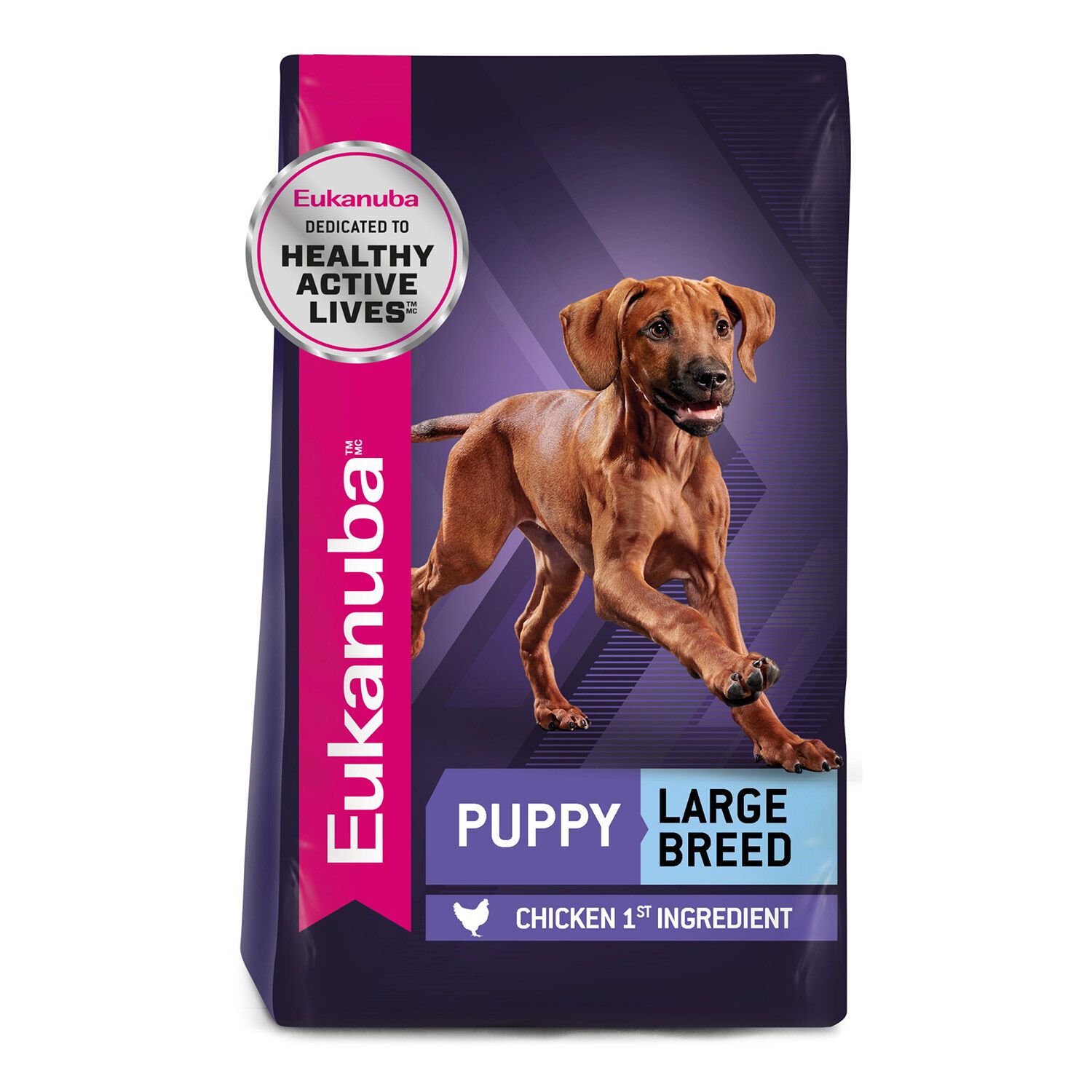 Eukanuba Large Breed Puppy Dry Dog Food