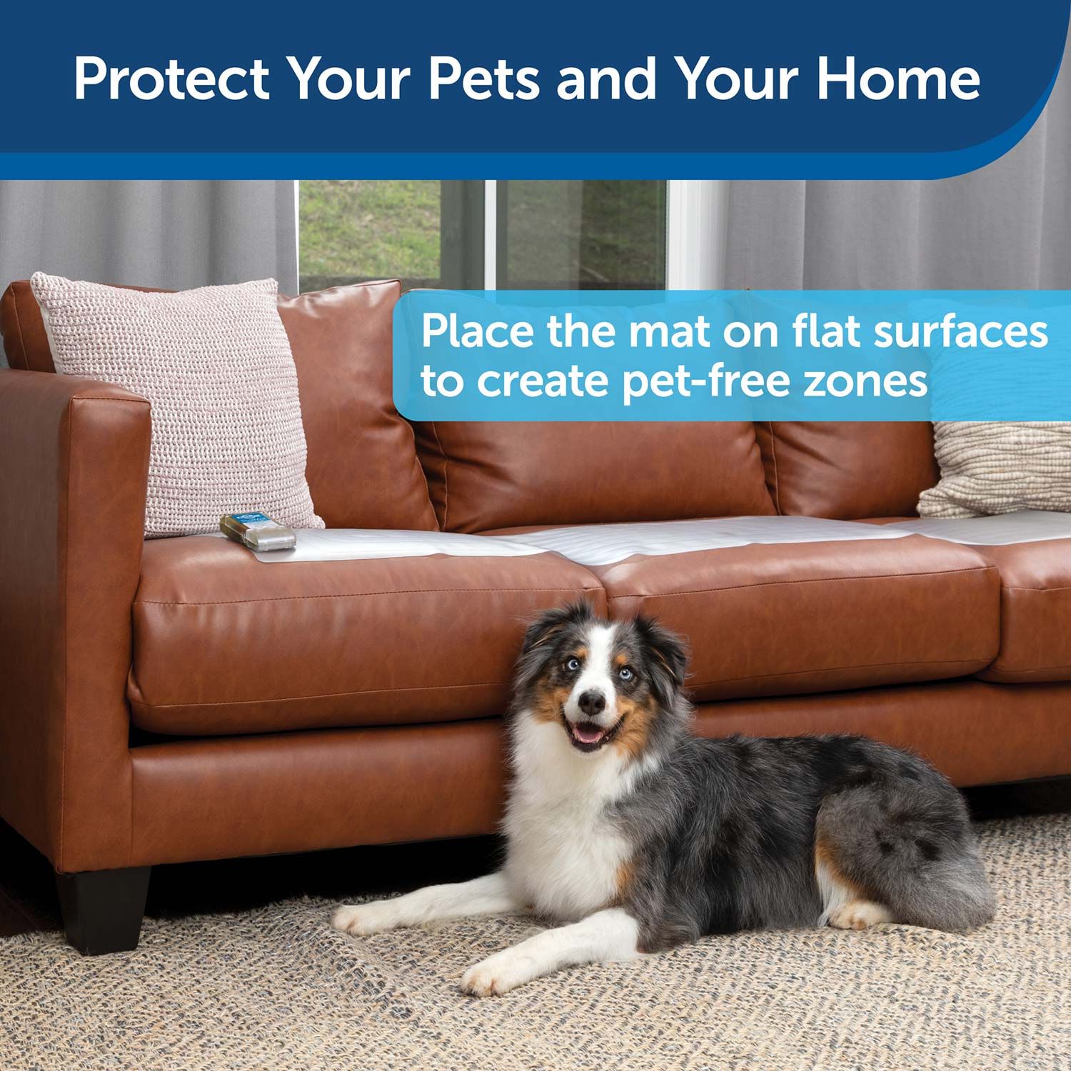 Petsafe Scatmat Indoor Pet Training Mat For Dogs & Cats, 12 X 60 In