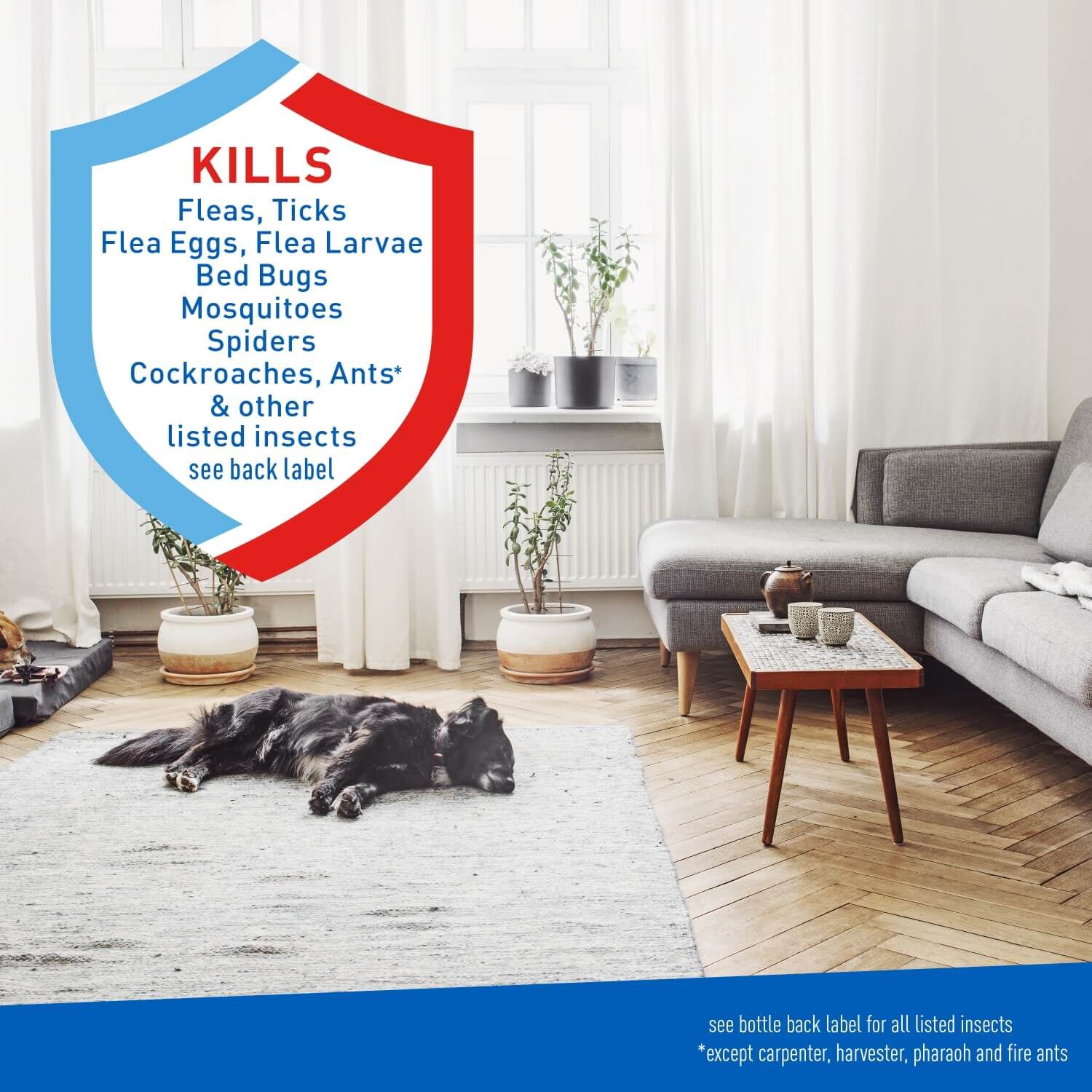 Adams Flea & Tick Home Spray