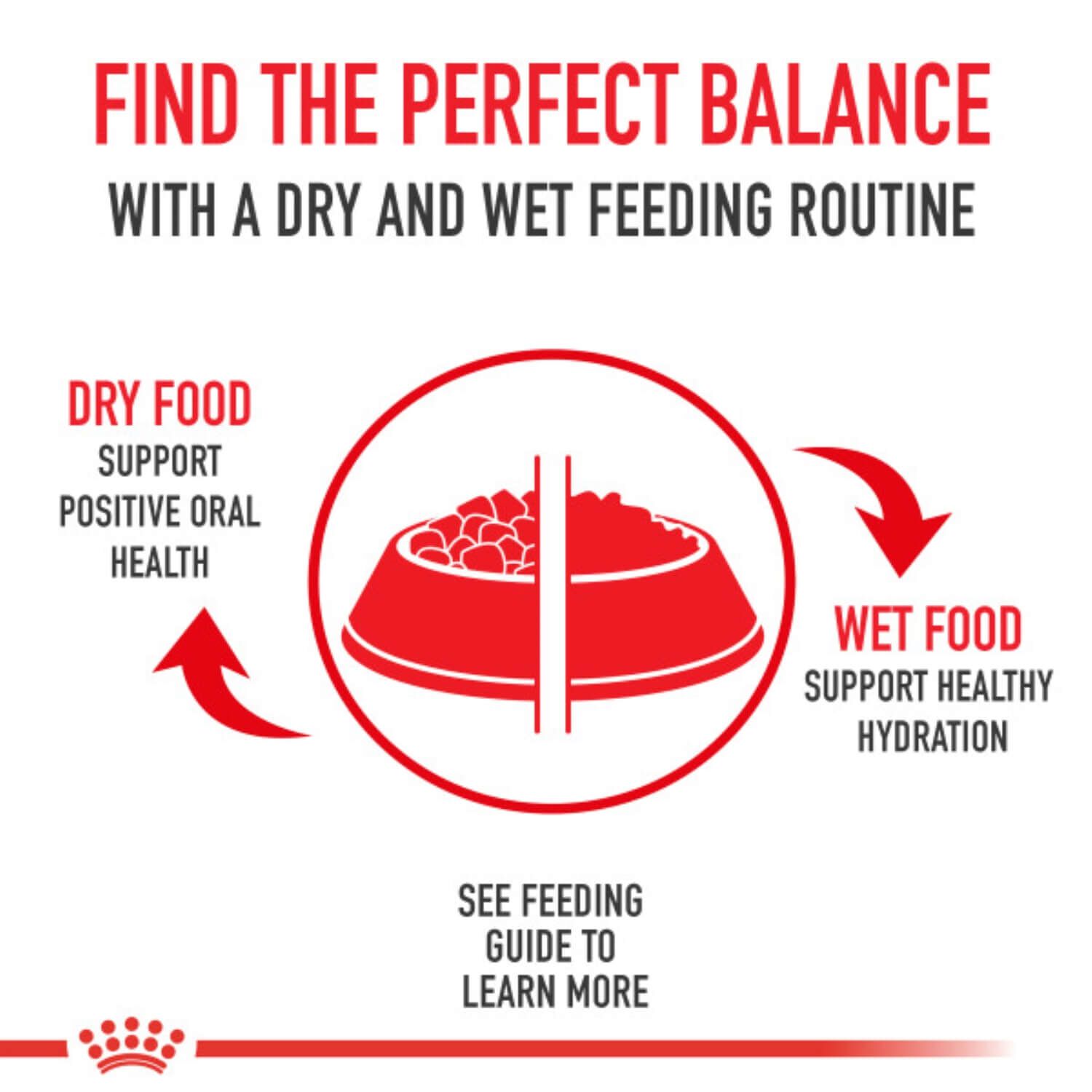 Royal Canin Puppy Appetite Stimulation Formula Wet Dog Food