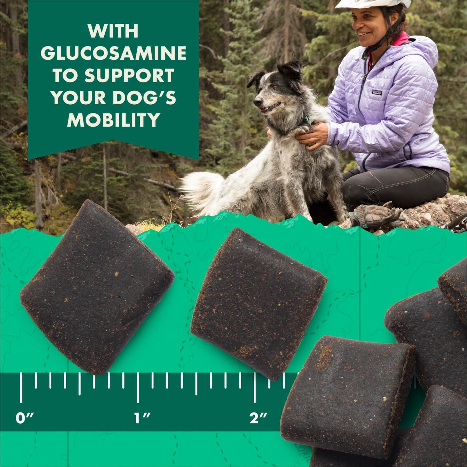 Zuke's Hip & Joint Soft & Chewy Dog Treats, Beef Recipe
