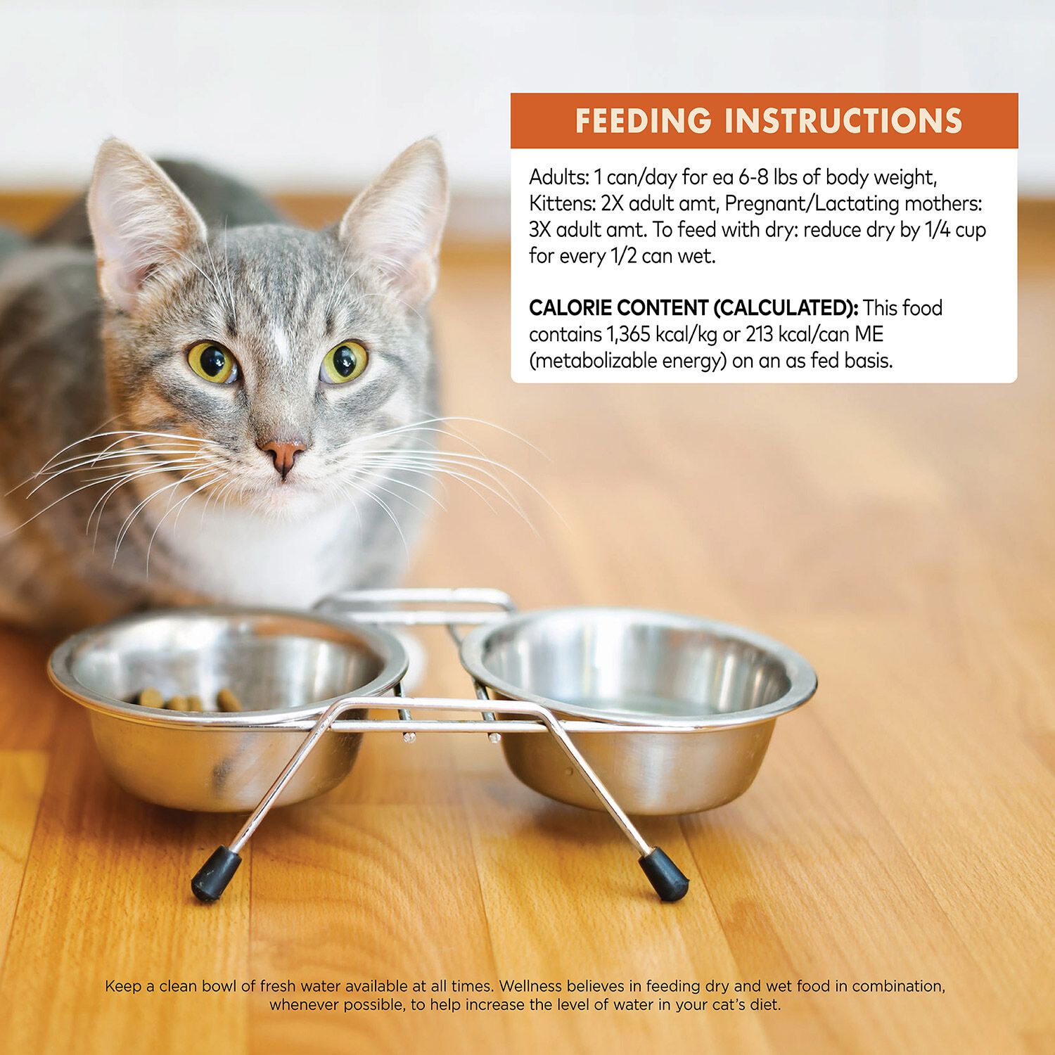 Wellness Core Pate Chicken, Turkey & Chicken Liver Recipe Cat Food