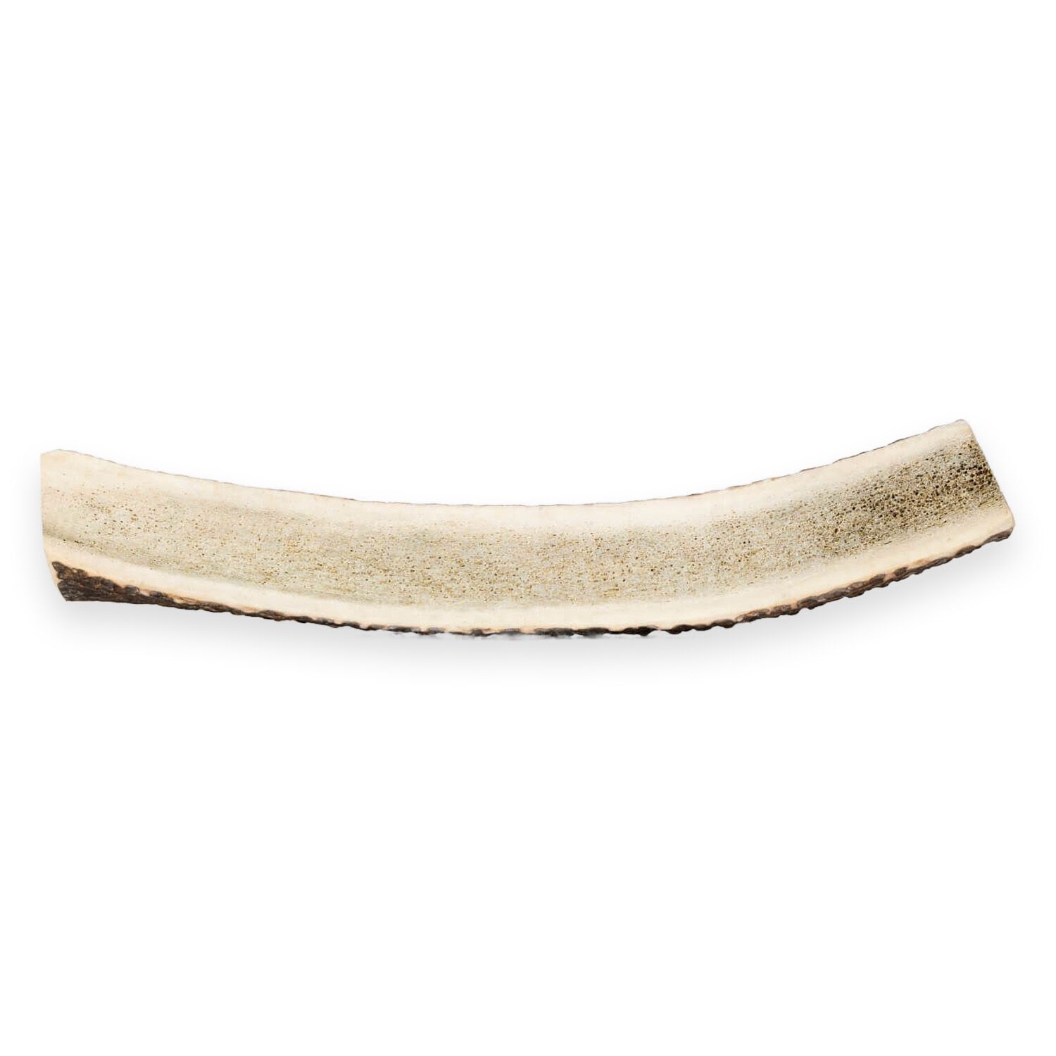 Primal Stag Antler Dog Treat, X-Large