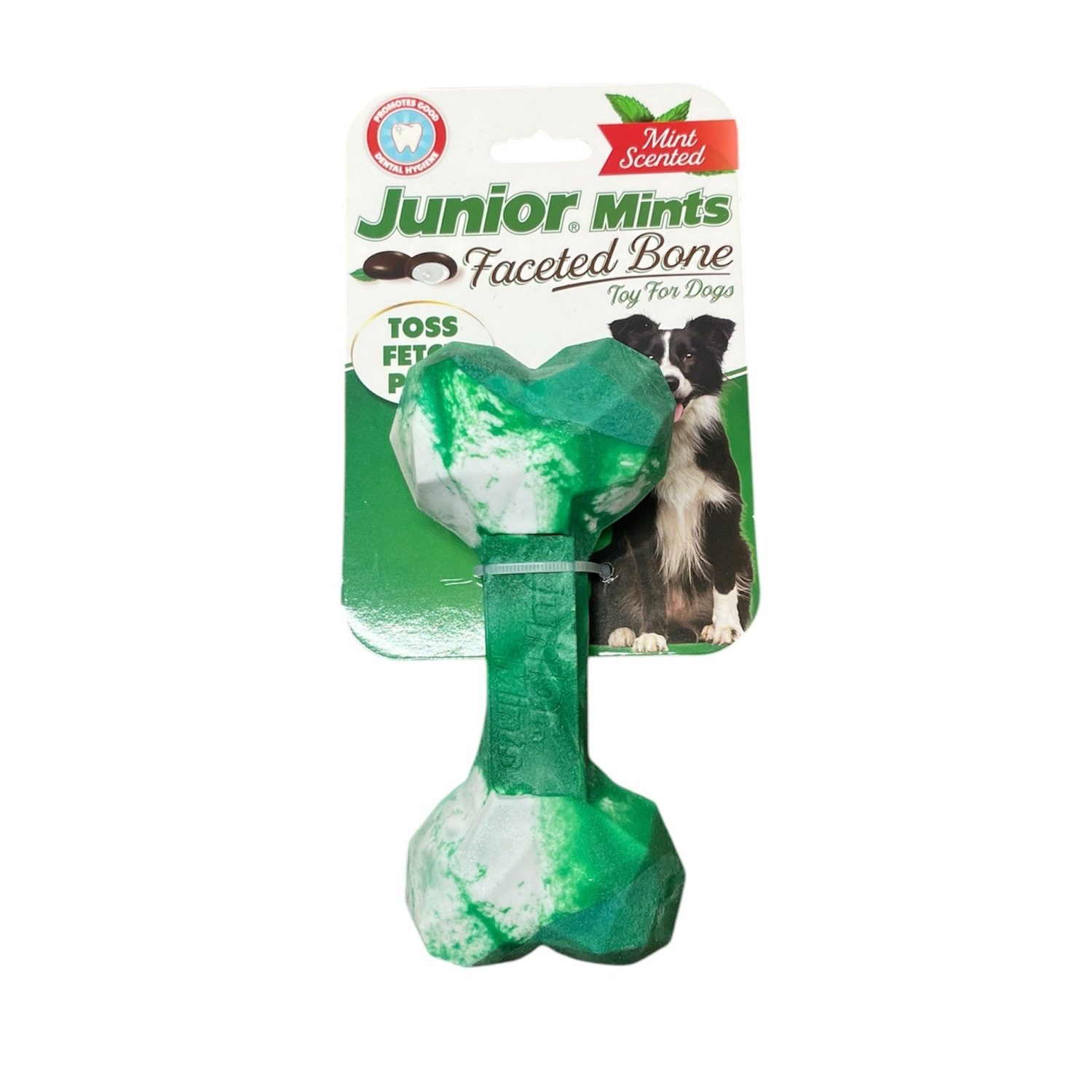 Tootsie Junior Mints Geo Bone Durable Rubber Dog Chew Toy, 6"