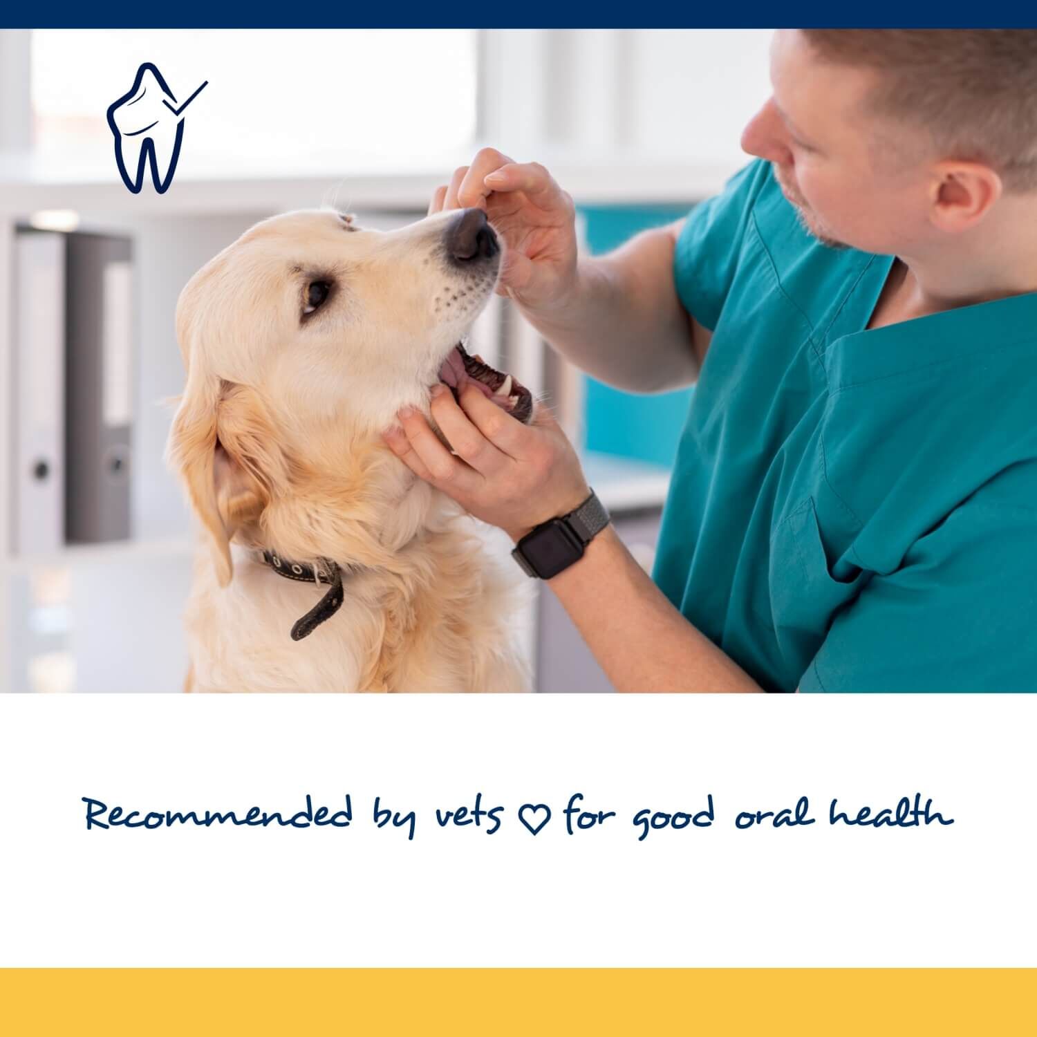 Proden Plaqueoff Dental Soft Chews For Large/Giant Breed Dogs