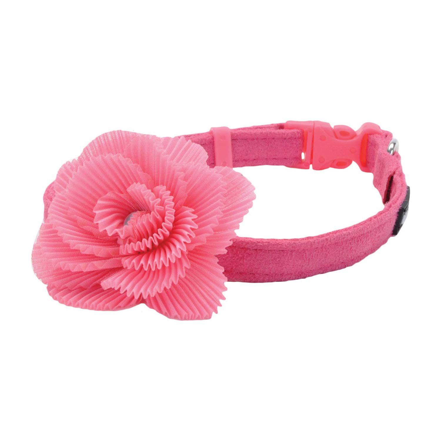 Coastal Pets Lil' Pals Microfiber Dog Collar, Pink With Pink Flower