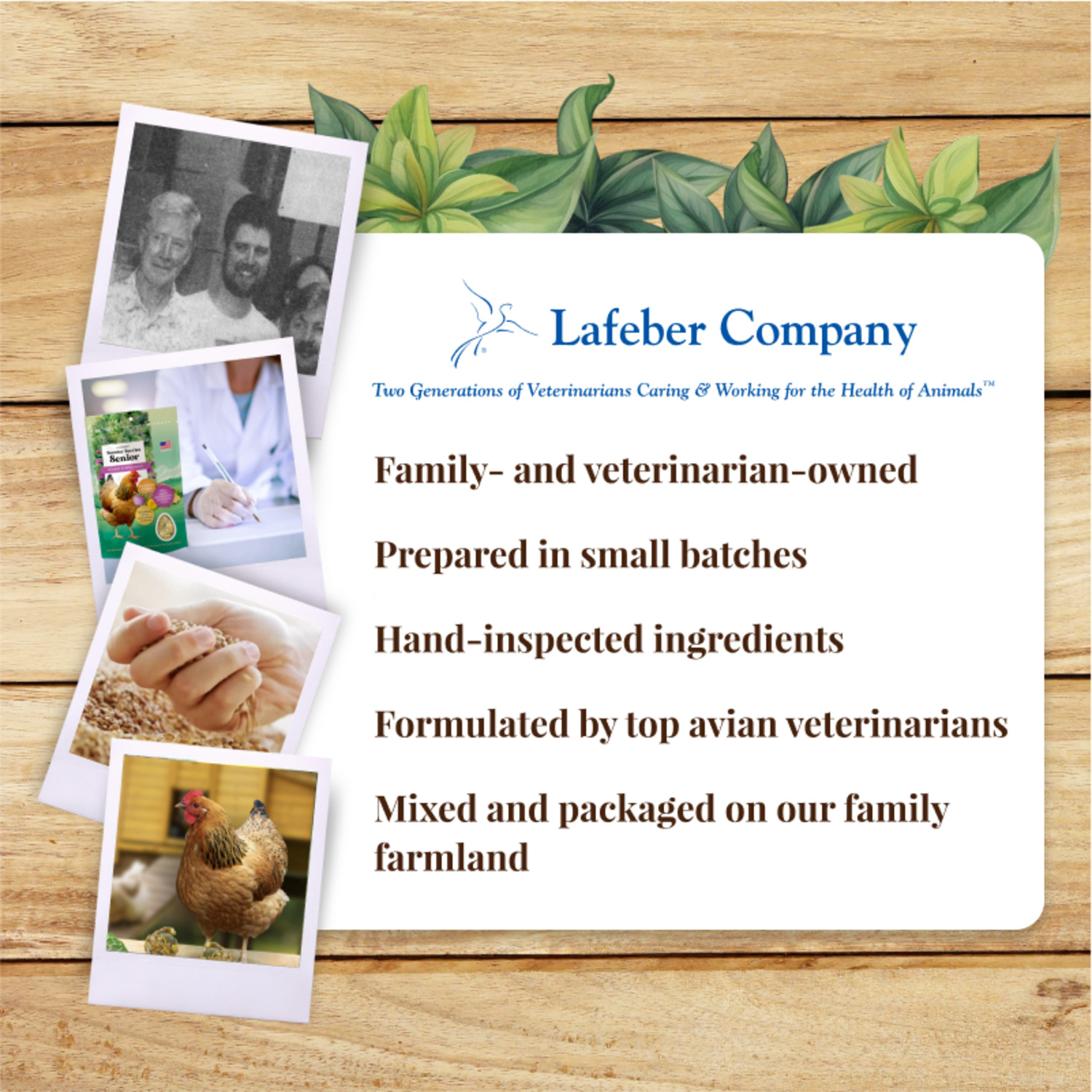 Lafeber Booster Berries Senior Chicken Supplement, 10 Oz