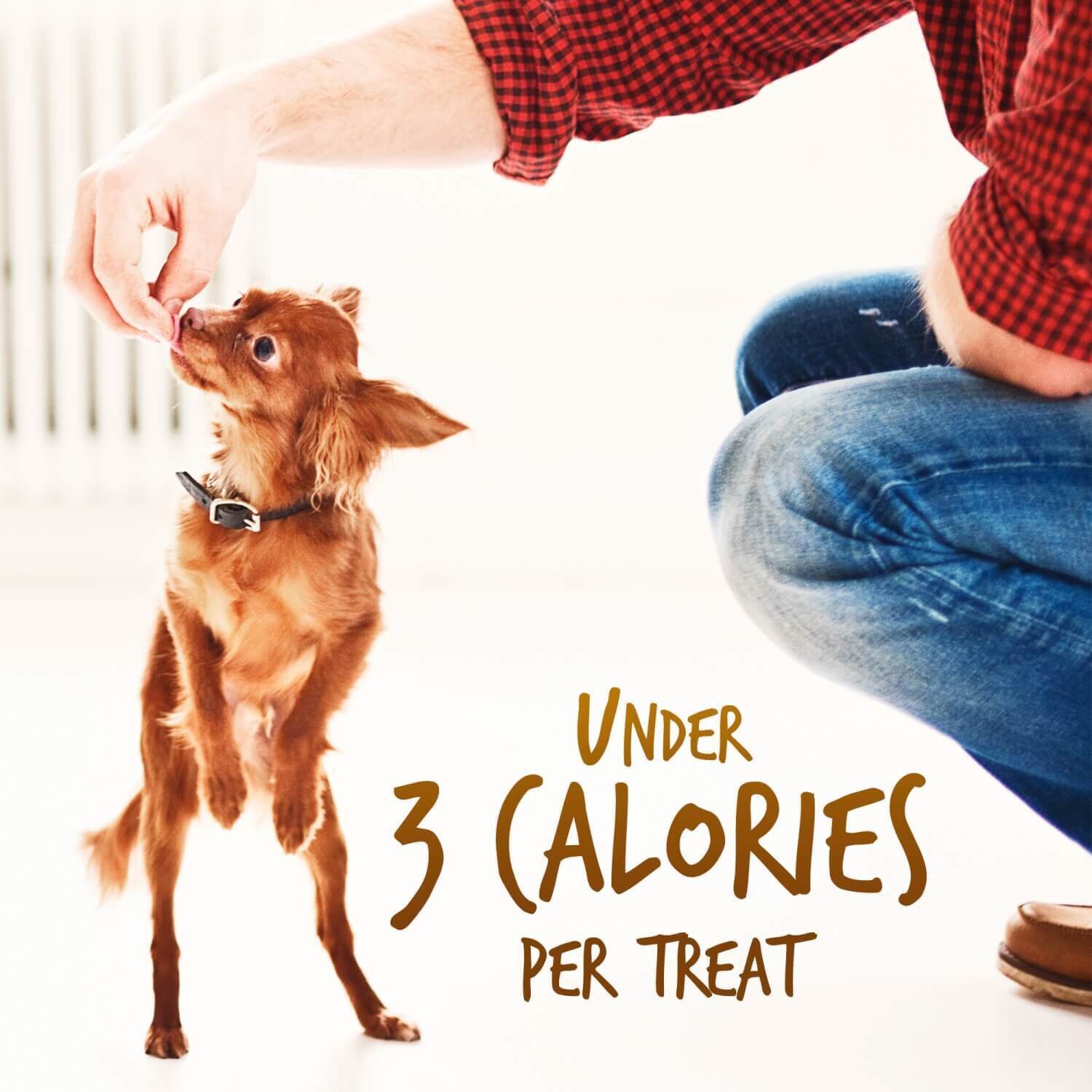 Fruitables Skinny Minis Grain Free Low Calorie Dog Treats, Rotisserie Chicken Flavor