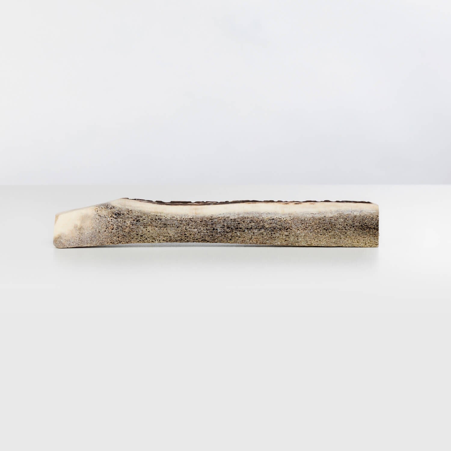 Primal Stag Antler Dog Treat, Large