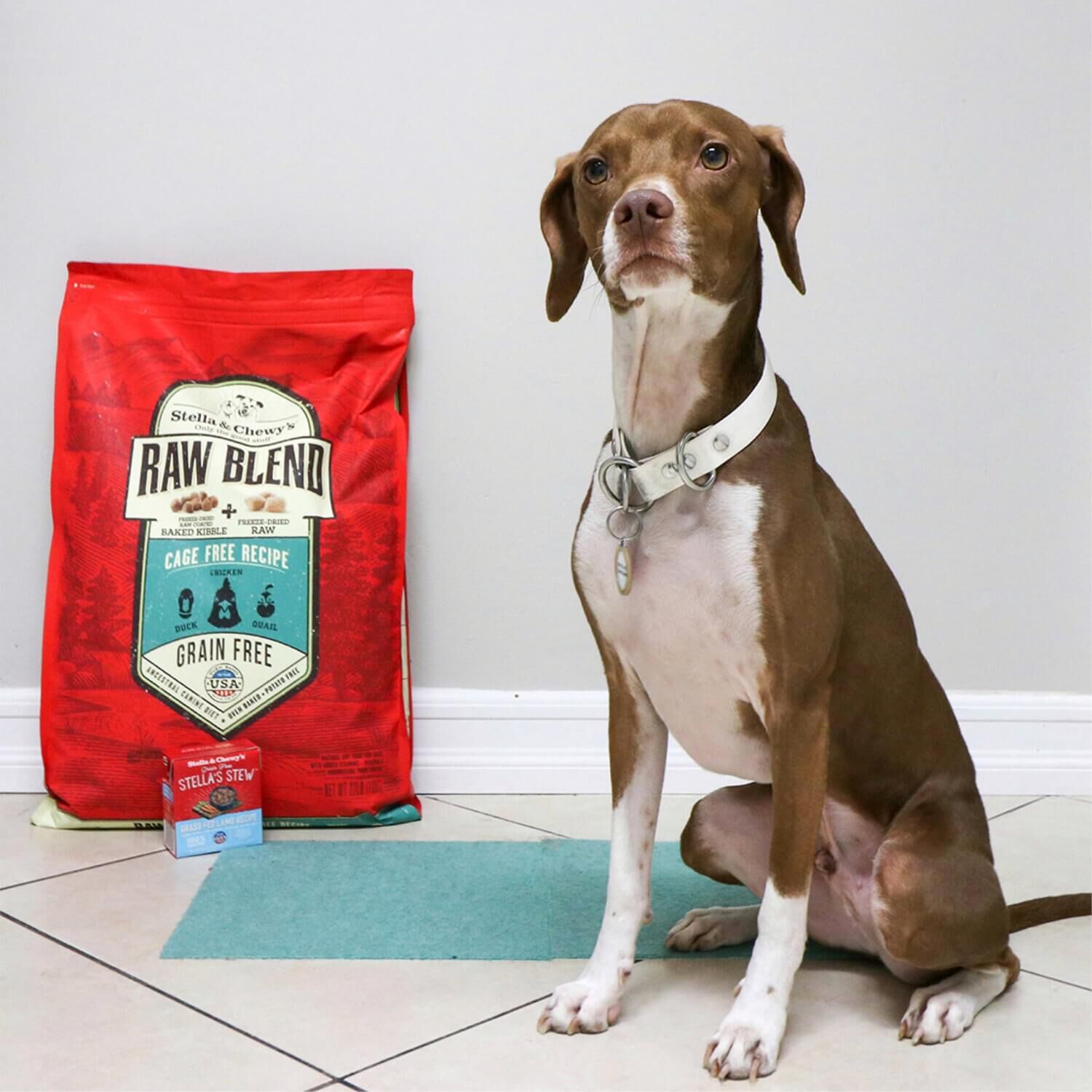 Stella & Chewy's Raw Blend Grain Free Freeze Dried Raw Coated Baked Kibble Dry Dog Food, Cage Free Chicken, Quail, & Duck Recipe