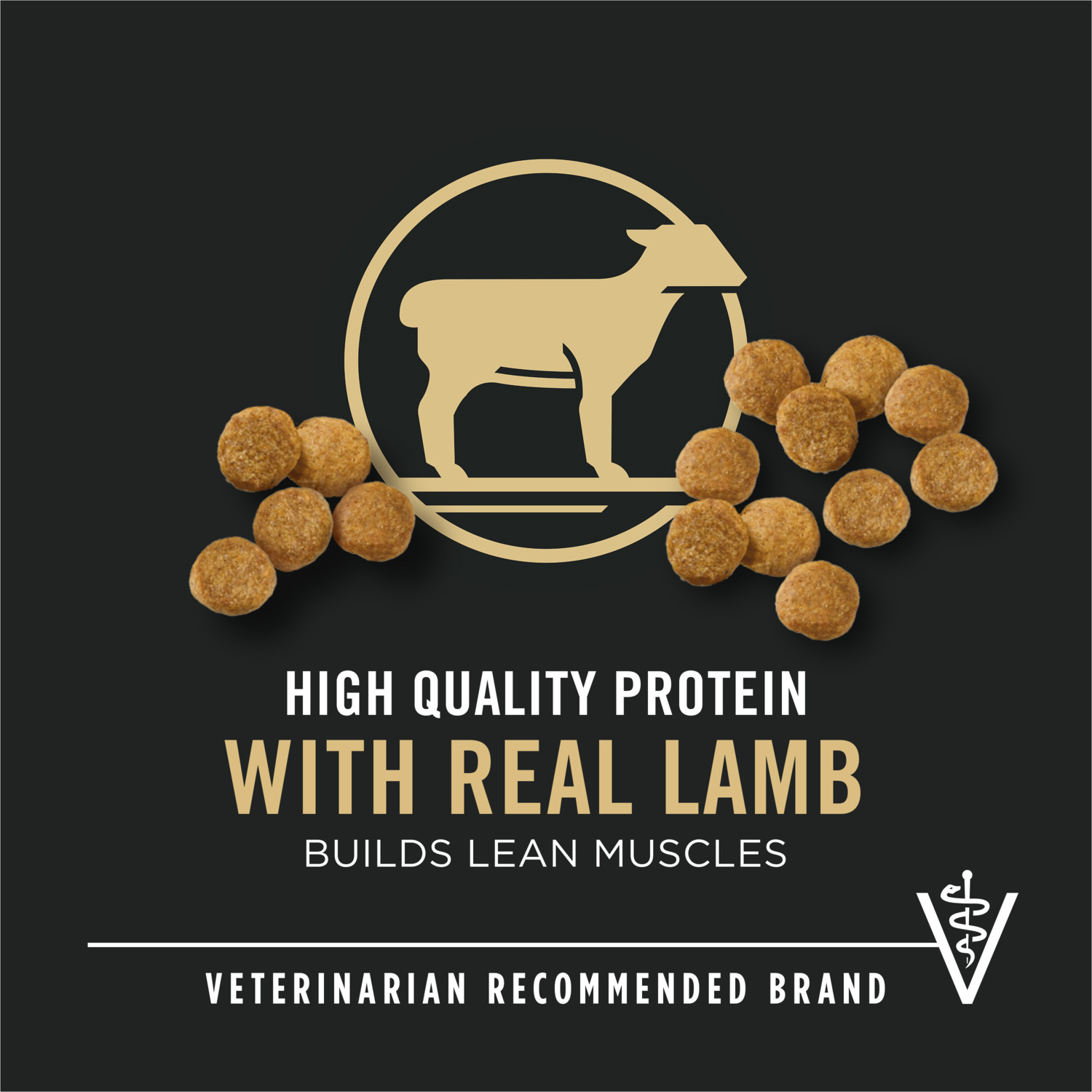 Purina Pro Plan High-Protein Puppy Formula Dry Dog Food, Lamb & Rice, 6Lb