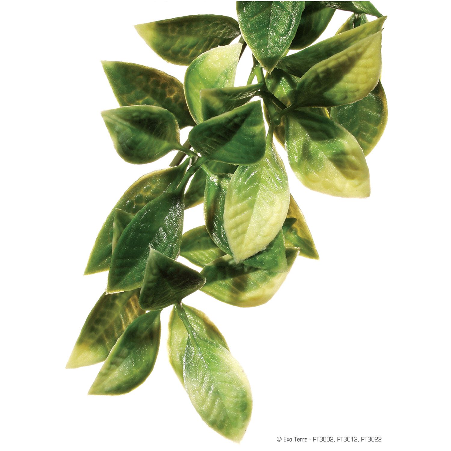 Exo Terra Plastic Mandarin Plant For Reptile Enclosures