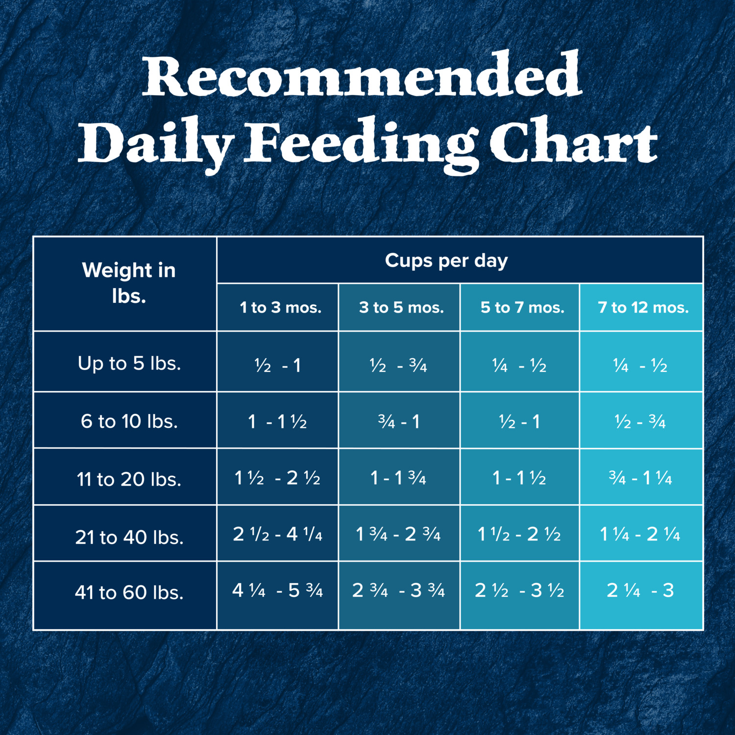 Blue Buffalo Wilderness Chicken Recipe High-Protein Puppy Dry Dog Food