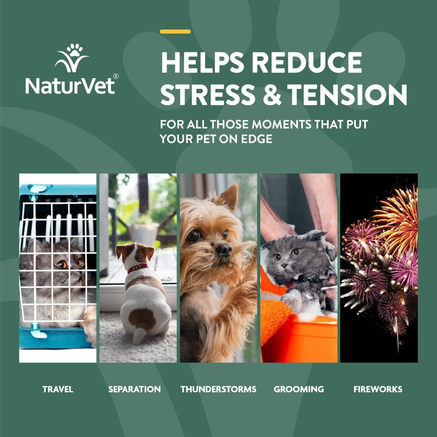Naturvet Hemp Quiet Moments Calming Aid Drops For Dogs & Cats