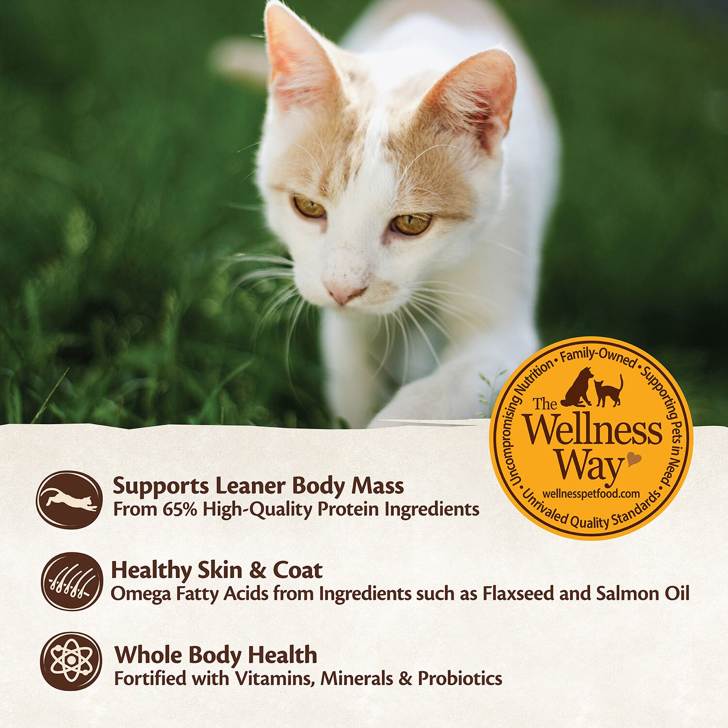 Wellness Core Pate Chicken, Turkey & Chicken Liver Recipe Cat Food
