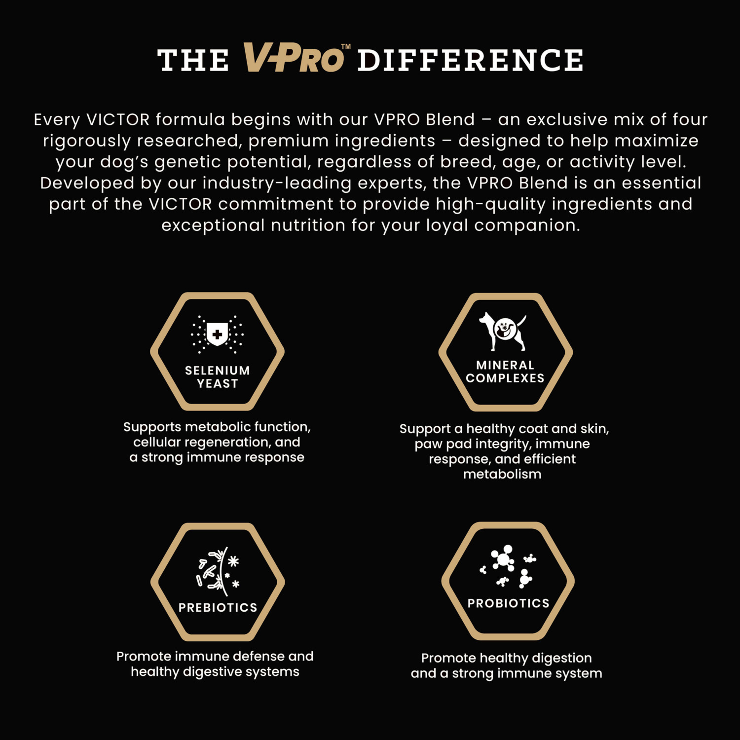 Victor Classic Hi-Pro Plus Dry Dog Food, 15-Lb