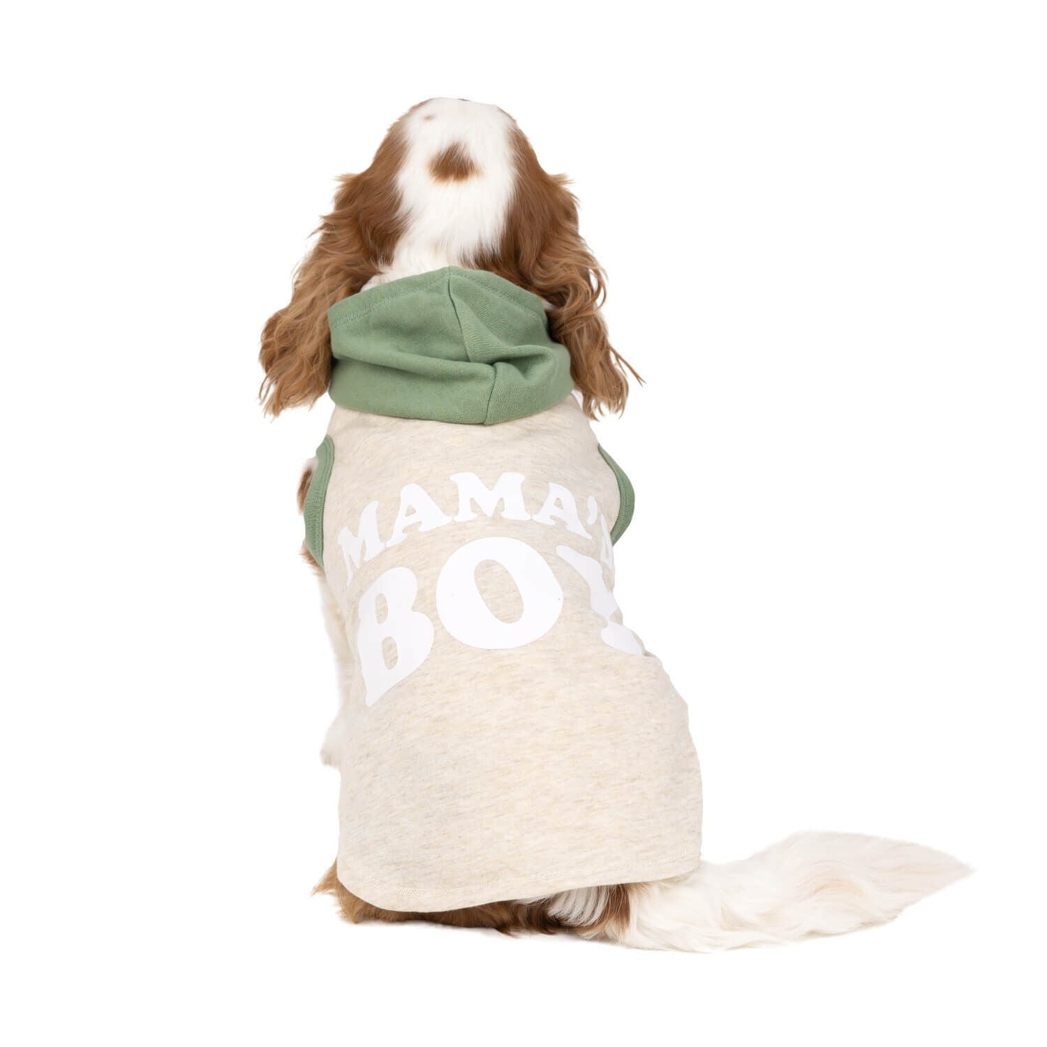Simply Dog Mama's Boy Green & White Dog Hoodie