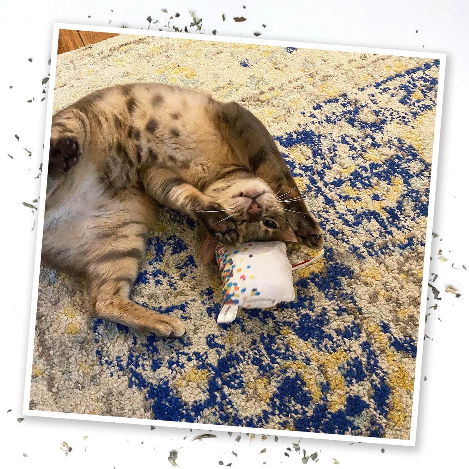 Meowijuana "Get Lit" Birthday Cake Refillable Catnip Cat Toy