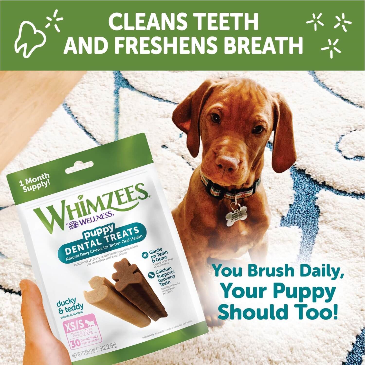 Whimzees Puppy Natural Grain Free Dental Chews For Dogs, Extra Small/Small Breed, 30 Count
