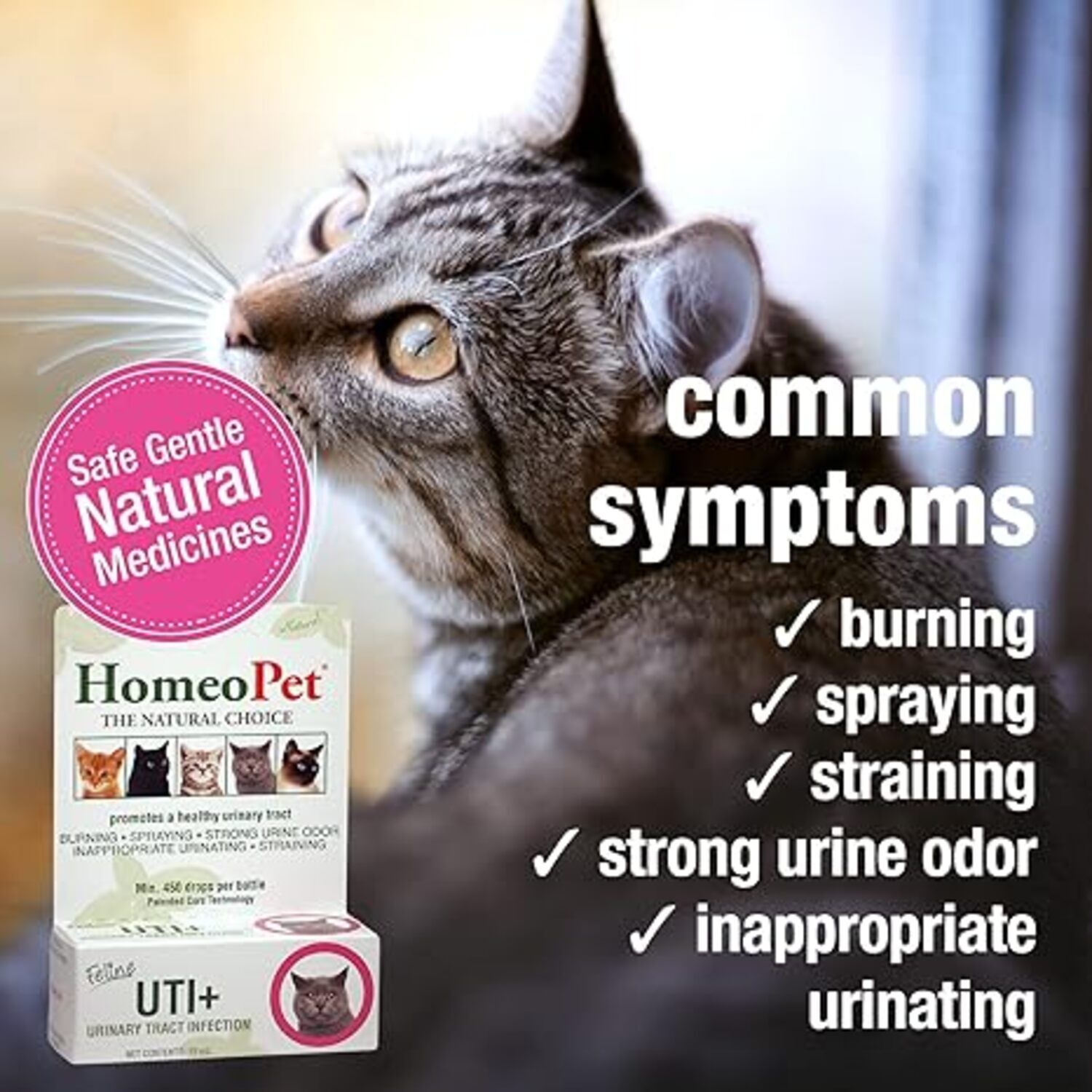 Homeopet Feline Uti Plus Cat Urinary Care Relief, 15Ml