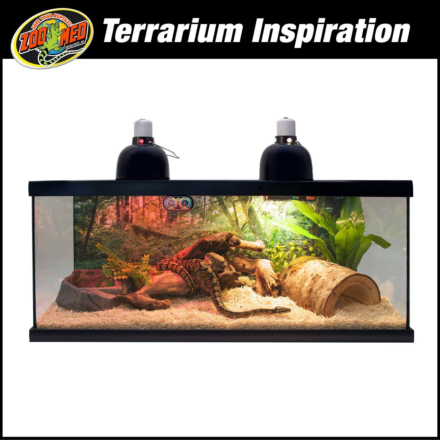 Zoo Med Reptihabitat 20 Gallon Snake Kit Reptile Habitat Starter Kit