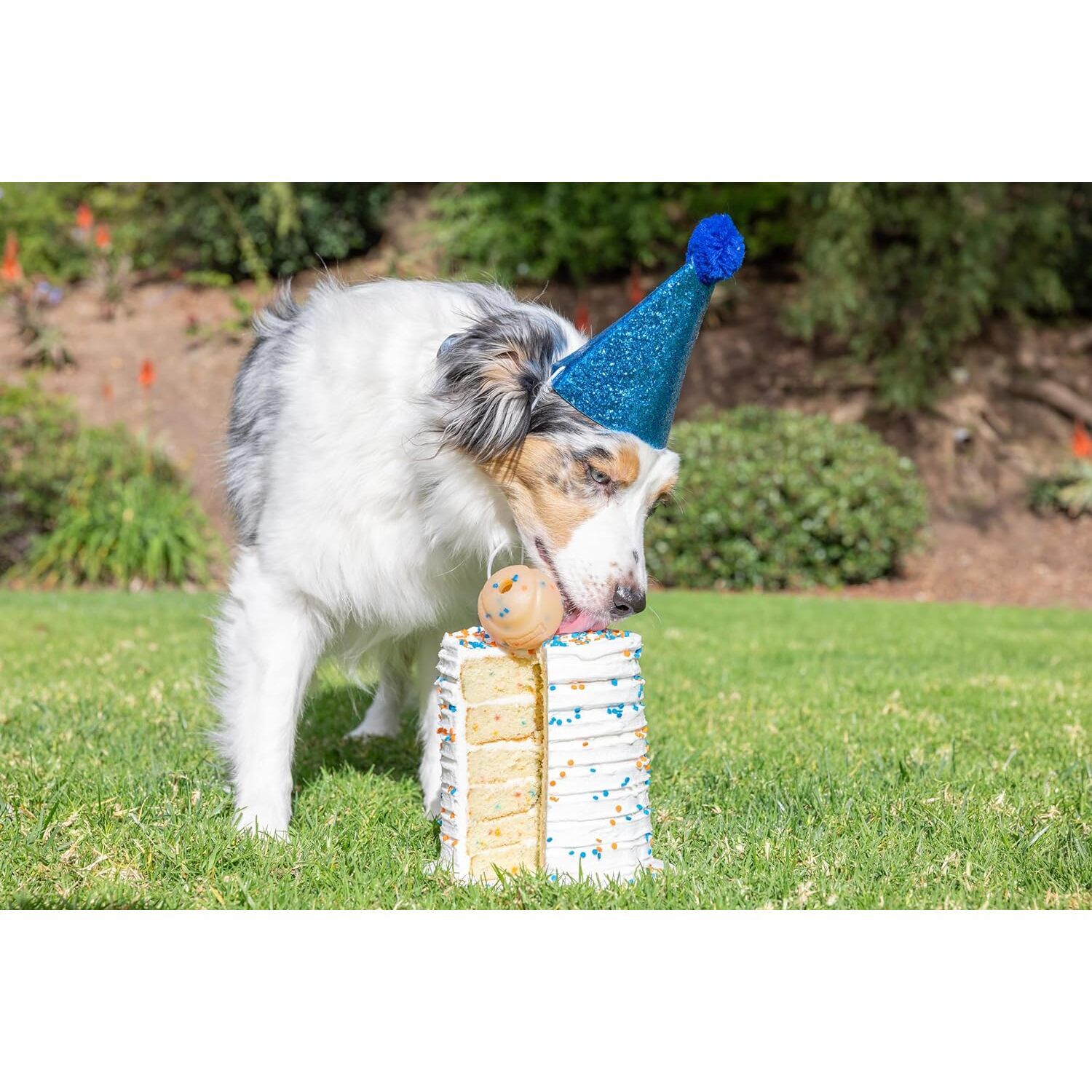 Chuckit! Birthday Fetch Ball Dog Toy, Medium, 2.5"