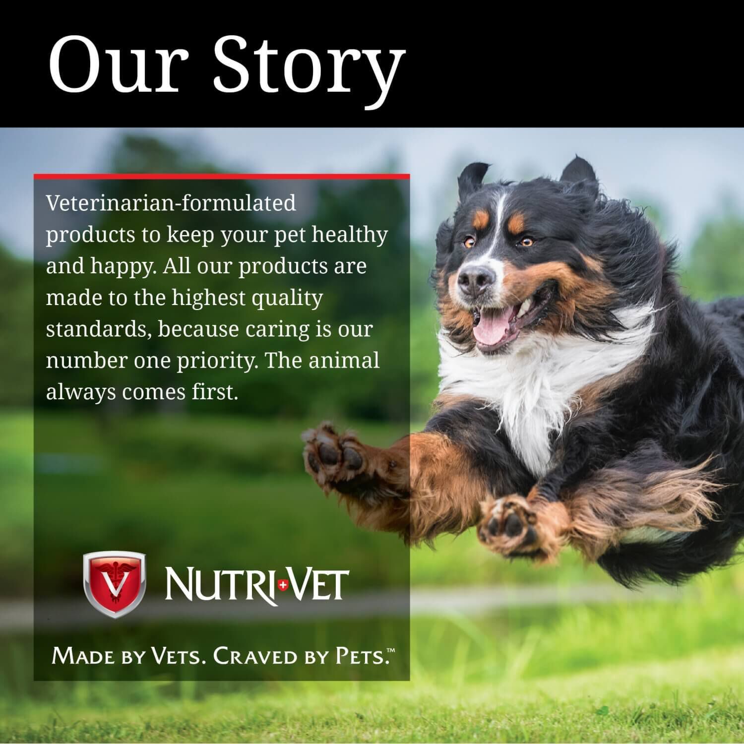 Nutri-Vet Bitter Bandage Self Adhering Wound Care Wrap For Dogs & Cats, 3In
