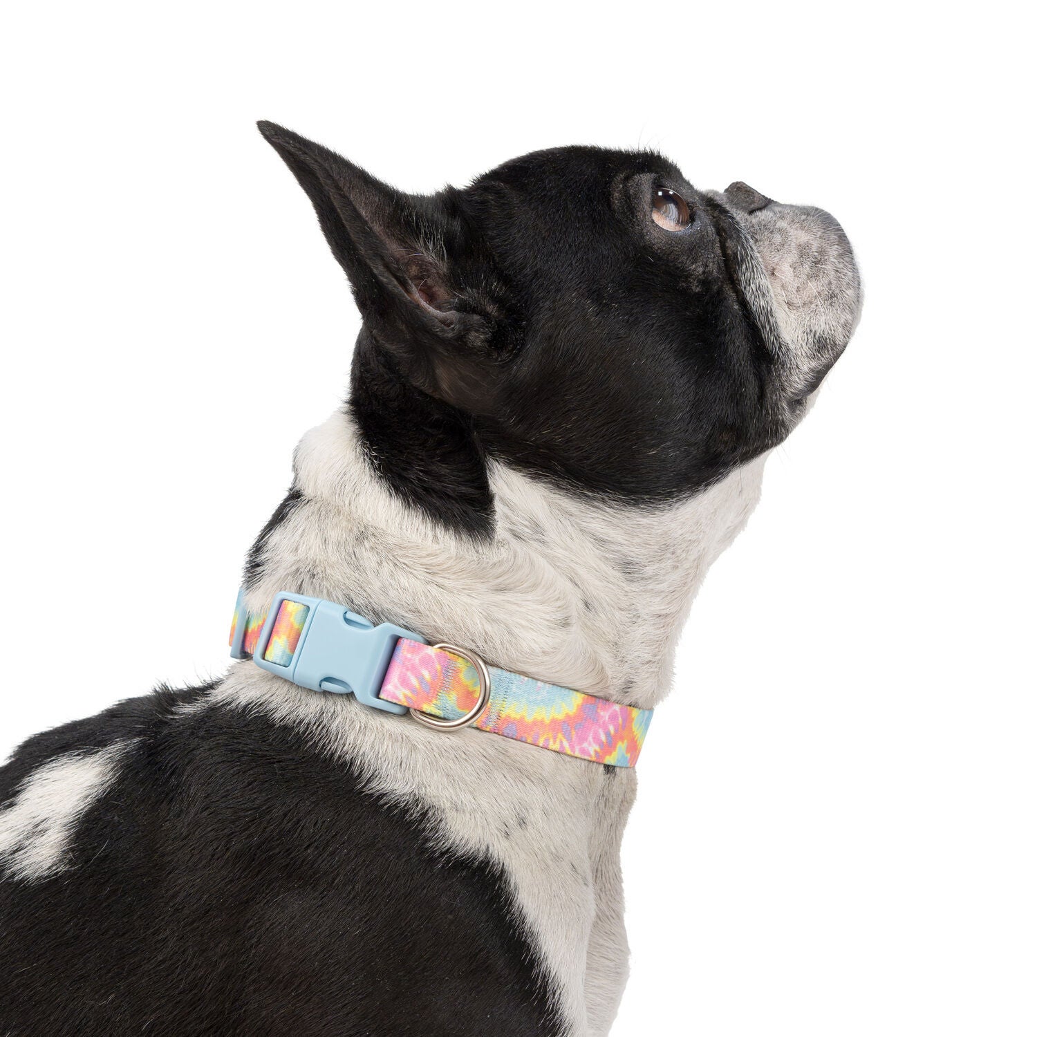 Simply Dog Tie Dye Dog Collar, Pastel Colors