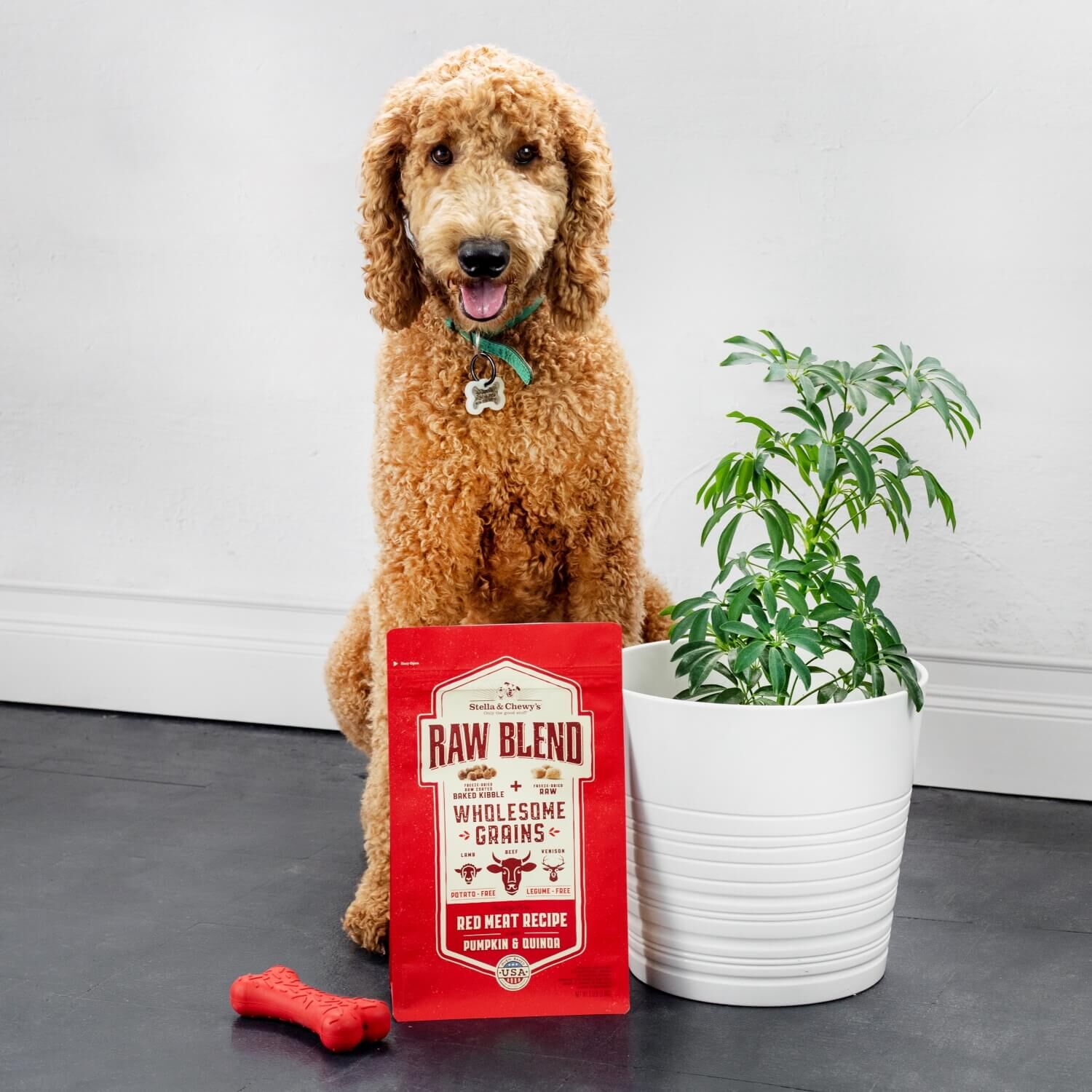 Stella & Chewy's Raw Blend Wholesome Grains Kibble With Freeze Dried Raw Pieces Dry Dog Food, Red Meat Recipe