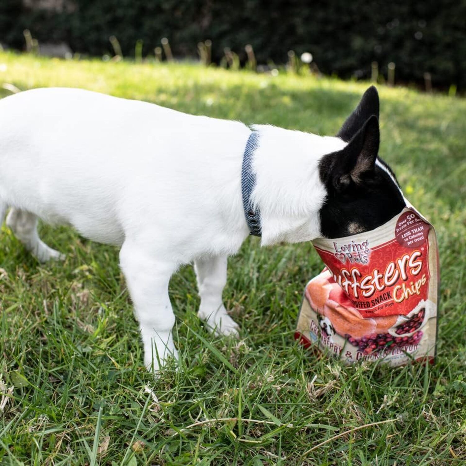 Loving Pets Puffsters Cranberry And Chicken Chips Low-Fat Dog Treats, 4Oz