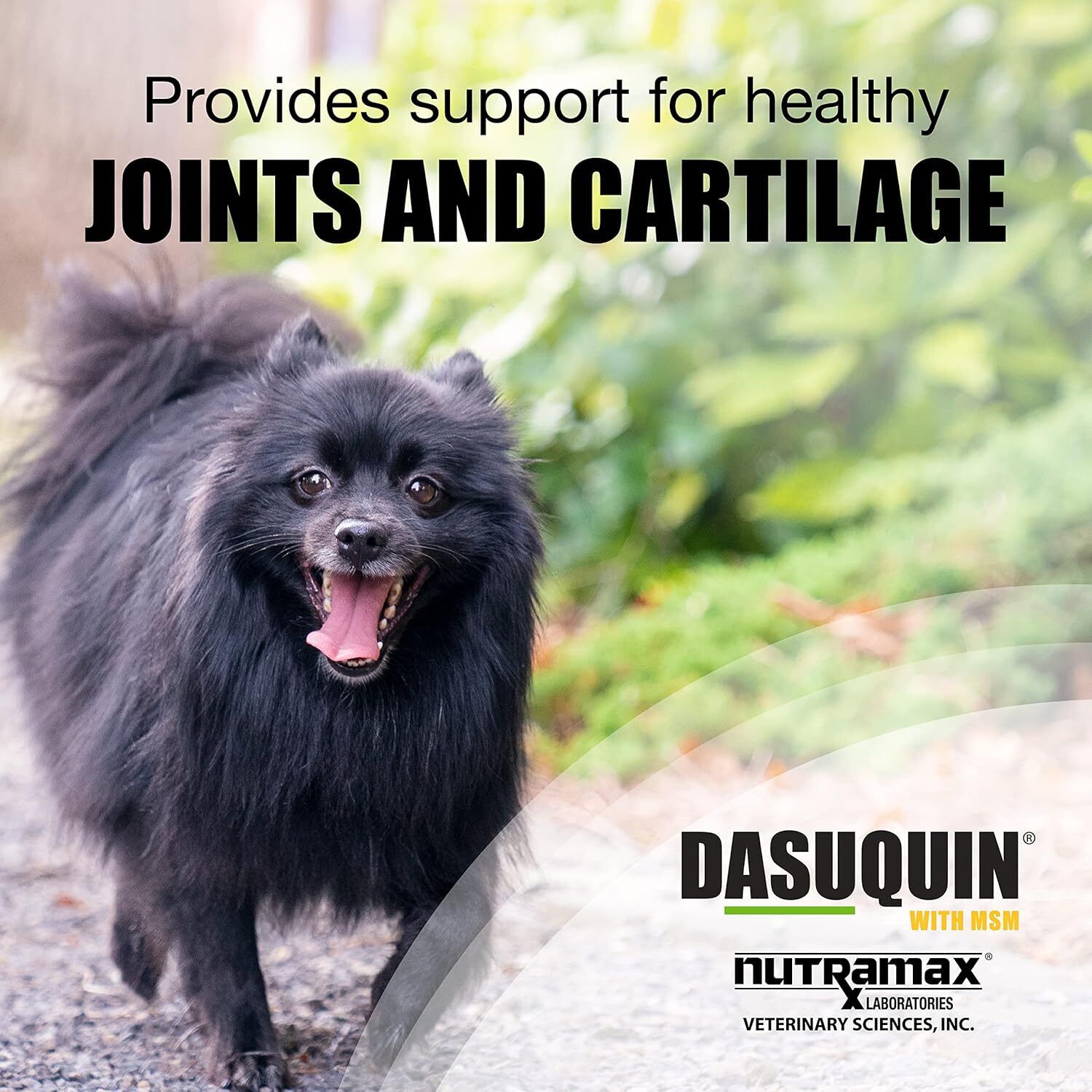 Nutramax Dasuquin Joint Health Supplement For Large Dogs, 84Ct