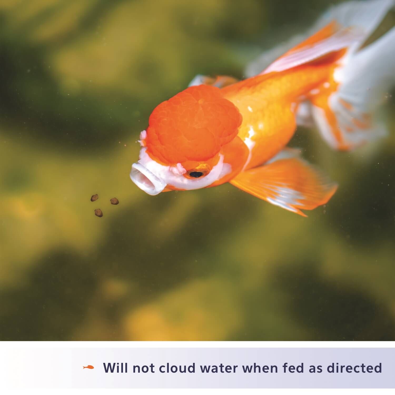 Aqueon Goldfish Granules Fish Food