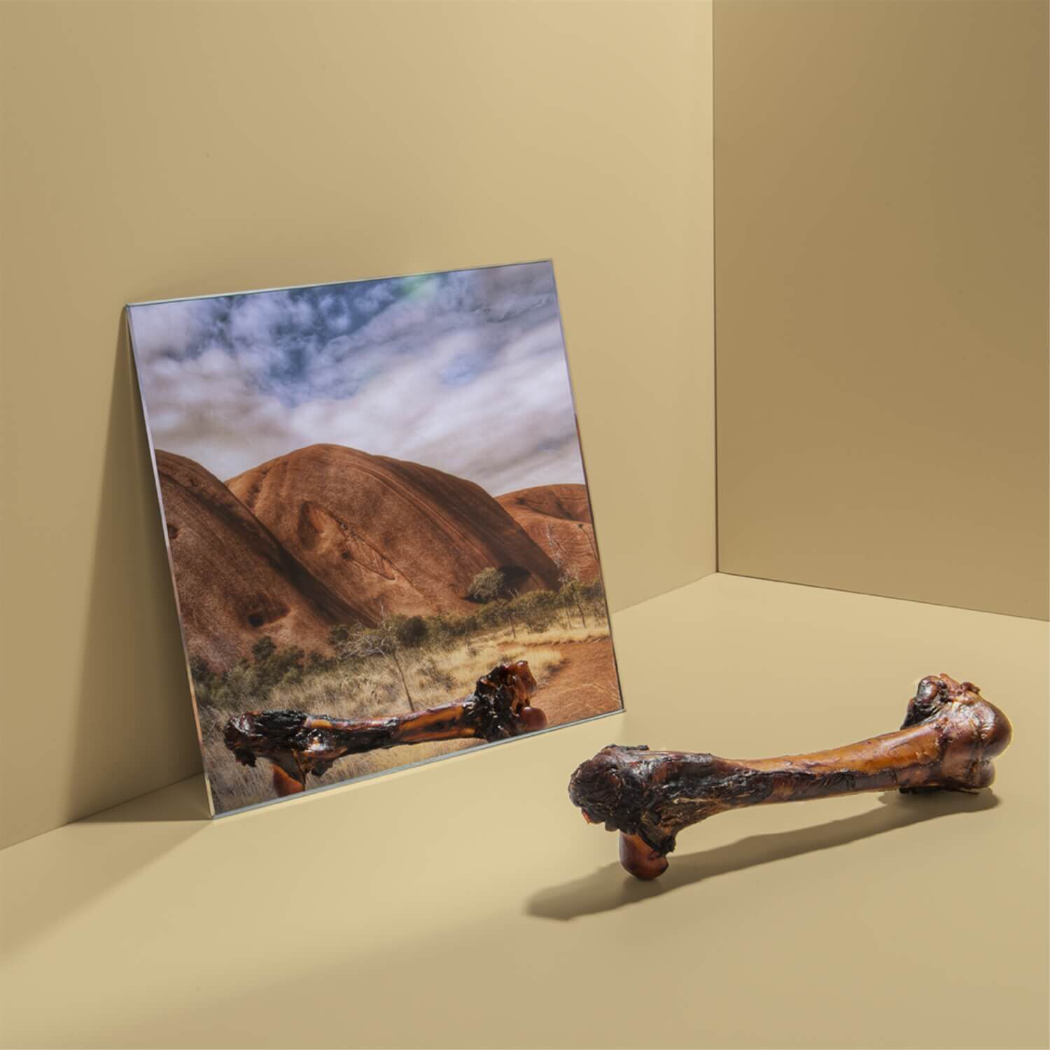 Roam Long Lasting Large Roo Chopper Kangaroo Femur Dog Treat