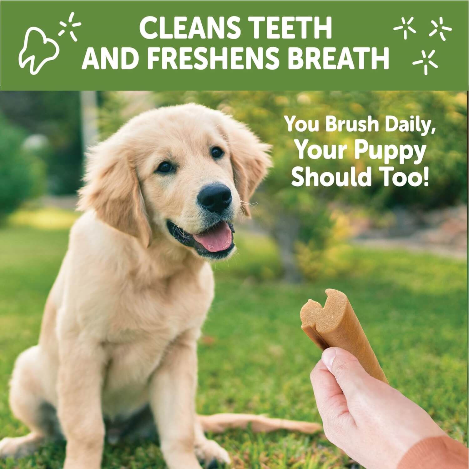 Whimzees Puppy Natural Grain Free Dental Chews For Dogs, Medium / Large Breed, 14 Count