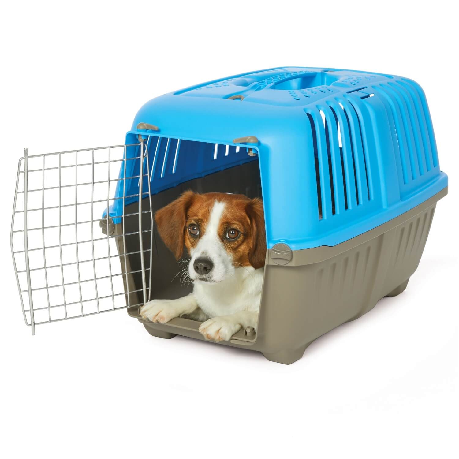 Midwest Spree Blue Plastic Hard-Sided Pet Carrier