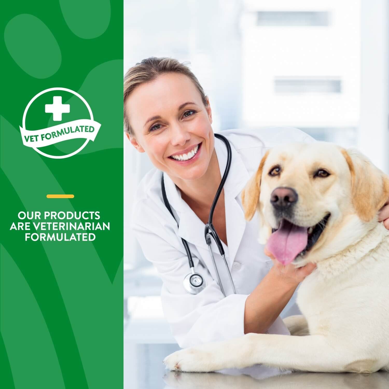 Naturvet Advanced Probiotics And Enzymes Supplement, Plus Vet Strength Pb6 Probiotic For Dogs
