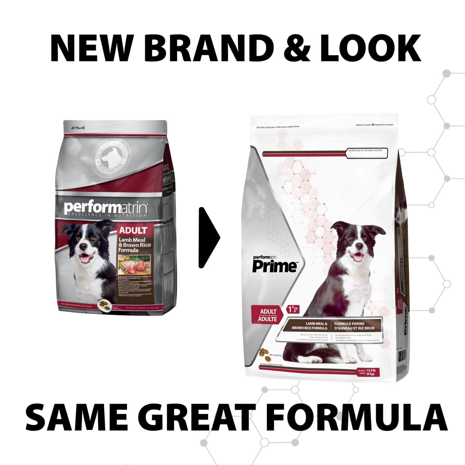 Performatrin Prime Adult Lamb Meal & Brown Rice Formula Dry Dog Food