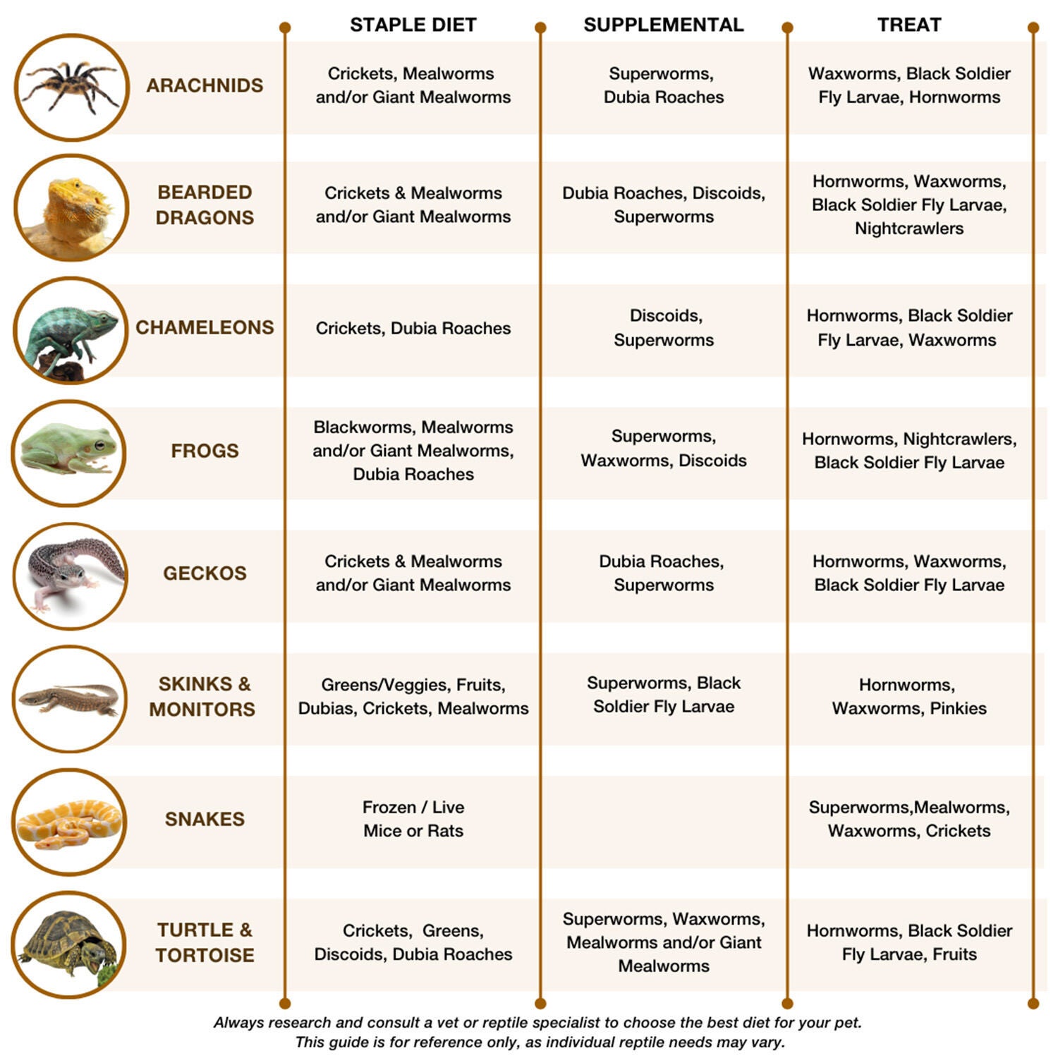 Live Giant Mealworms
