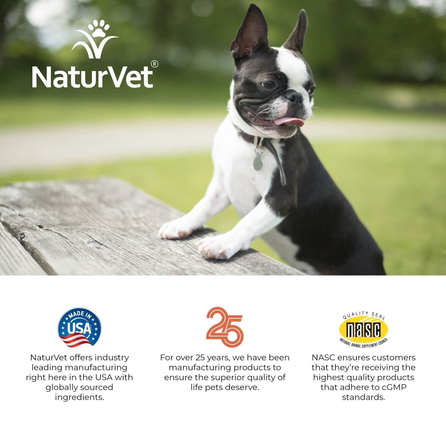 Naturvet Advanced Probiotics And Enzymes Supplement, Plus Vet Strength Pb6 Probiotic For Dogs