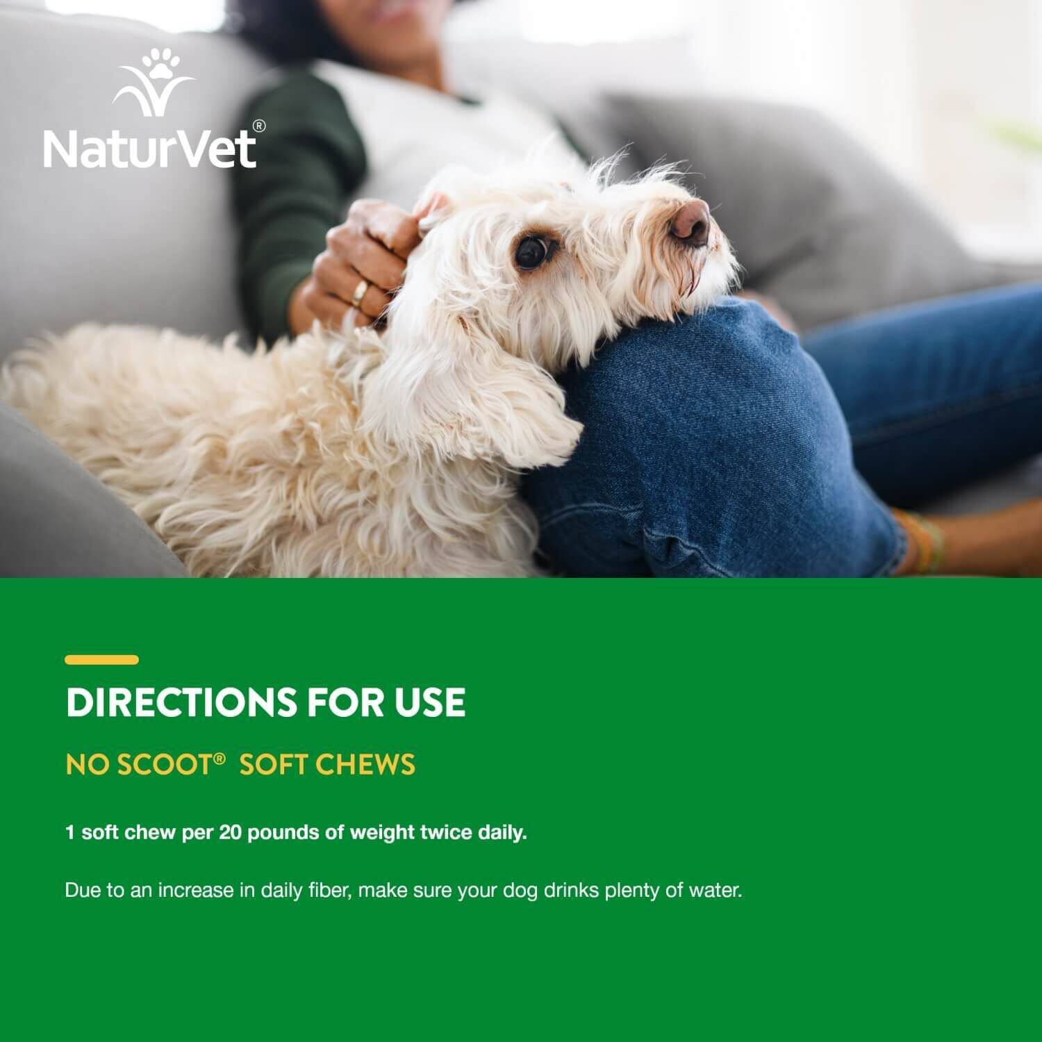 Naturvet No Scoot Anal Gland Support + Pumpkin Soft Chew Supplements For Dogs