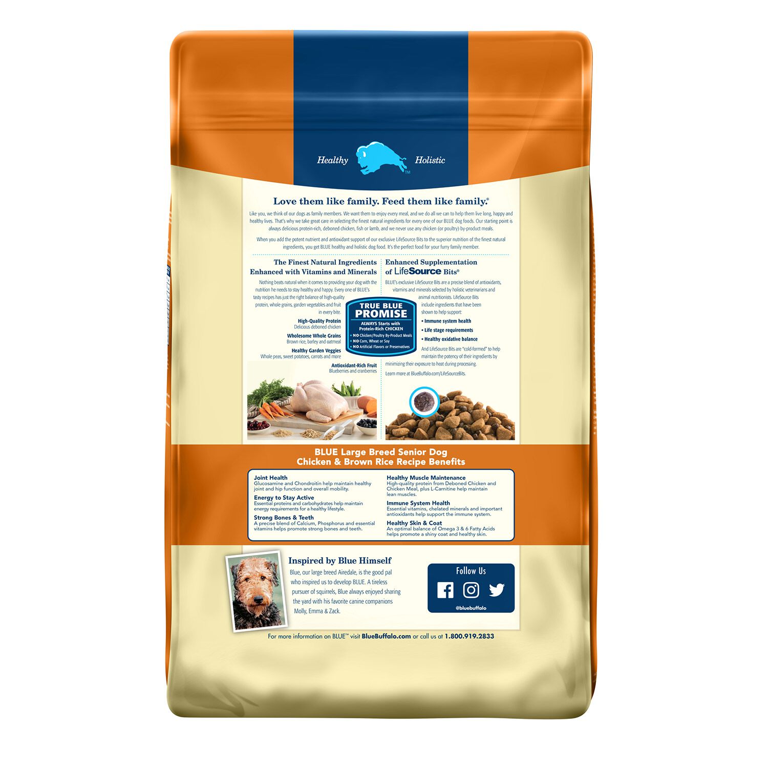 Blue Buffalo Life Protection Formula Large Breed Senior Chicken & Brown Rice Recipe Dog Food