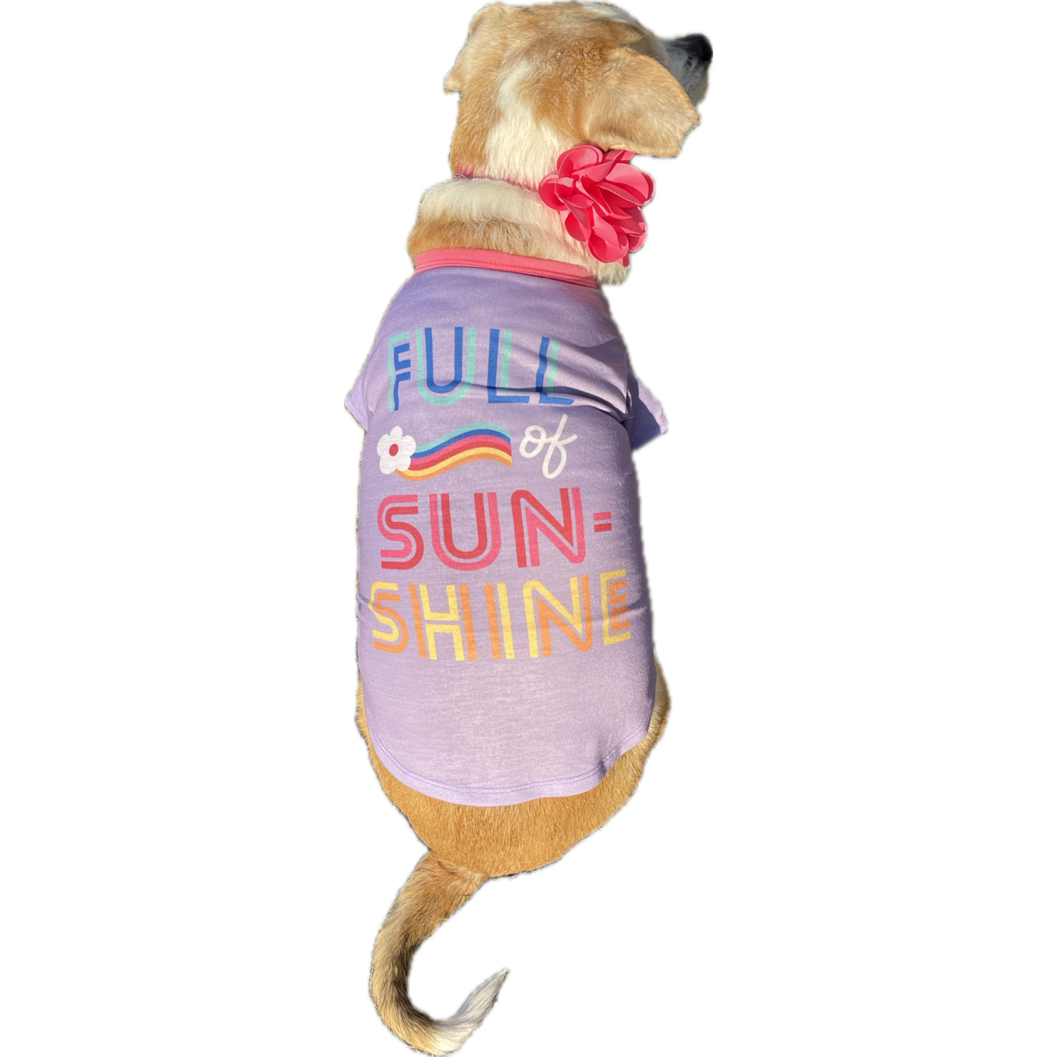 Simply Dog Full Of Sunshine Dog T-Shirt, Purple