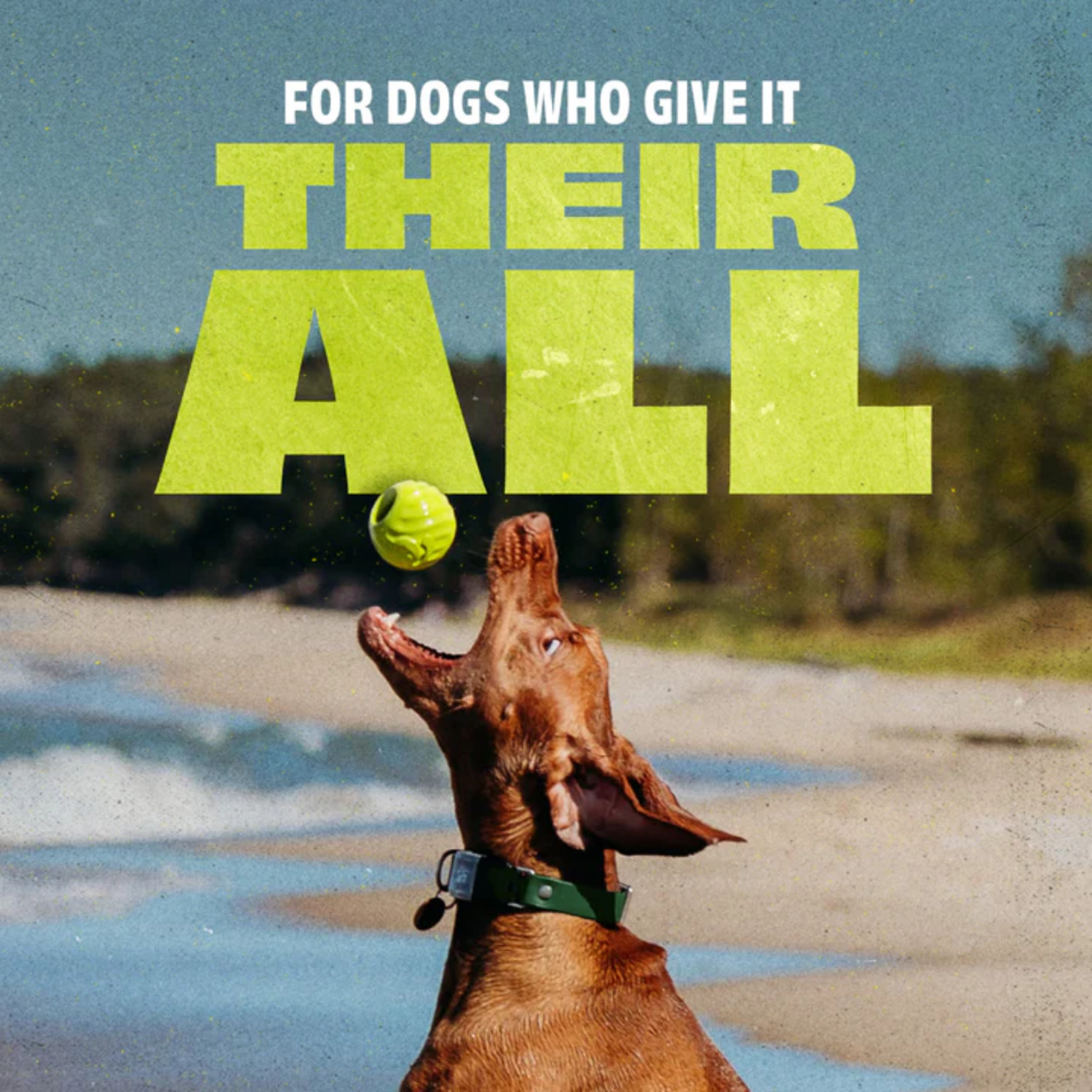 Benebone Rubber Ball Dog Toy, 2.6"