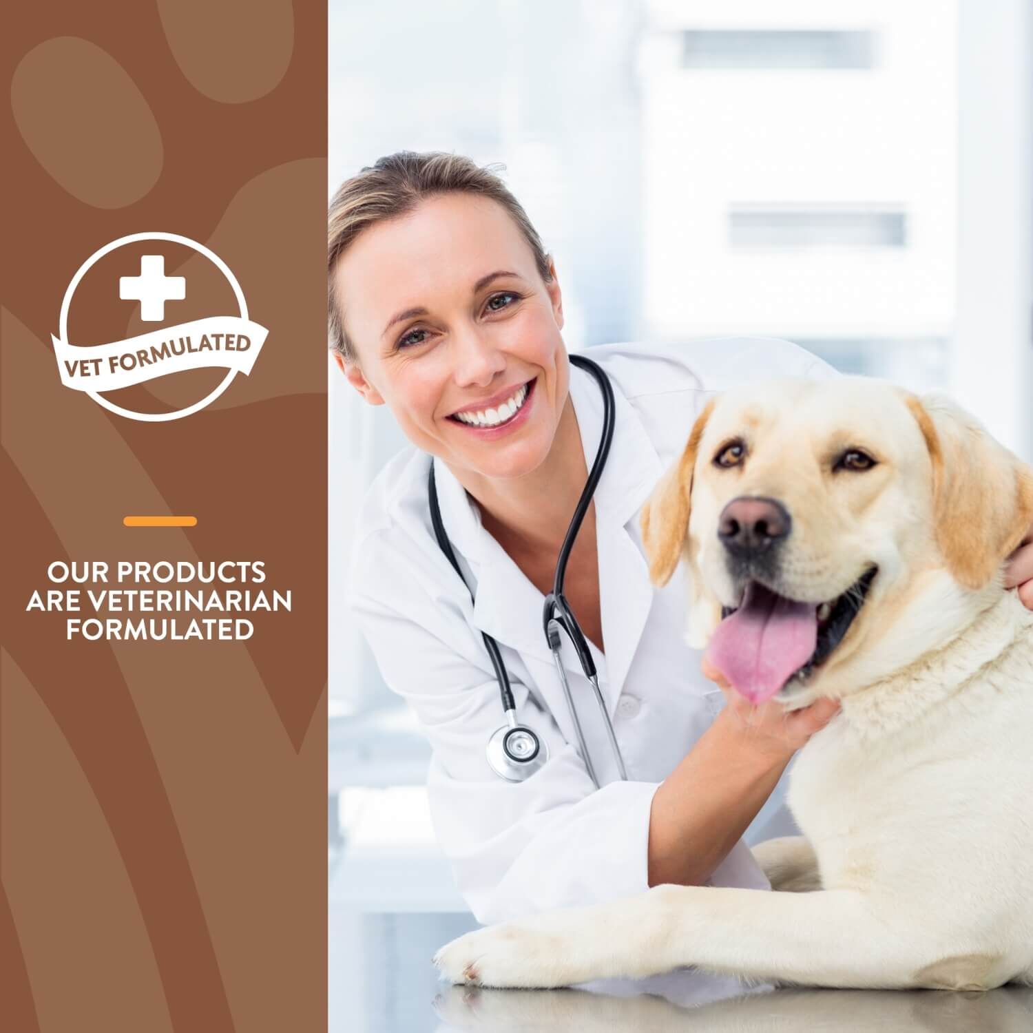 Naturvet All-In-One Vitamin Dog Soft Chews