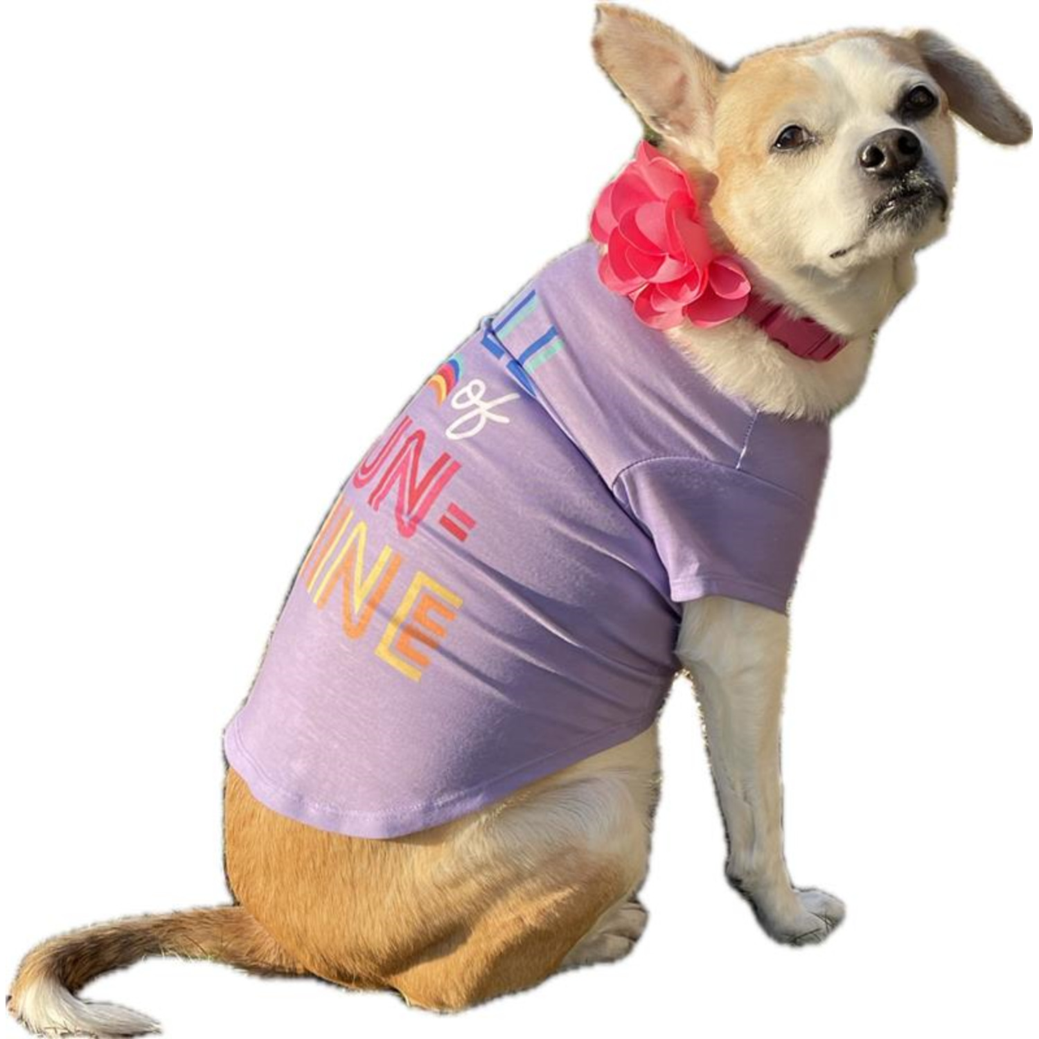 Simply Dog Full Of Sunshine Dog T-Shirt, Purple
