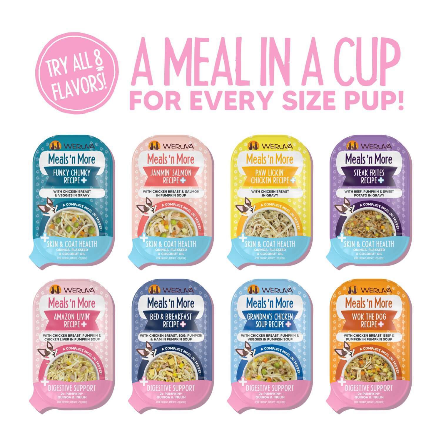Weruva Dog Meals 'N More Natural Grandma's Chicken Soup Recipe Plus Digestive Support Wet Dog Food