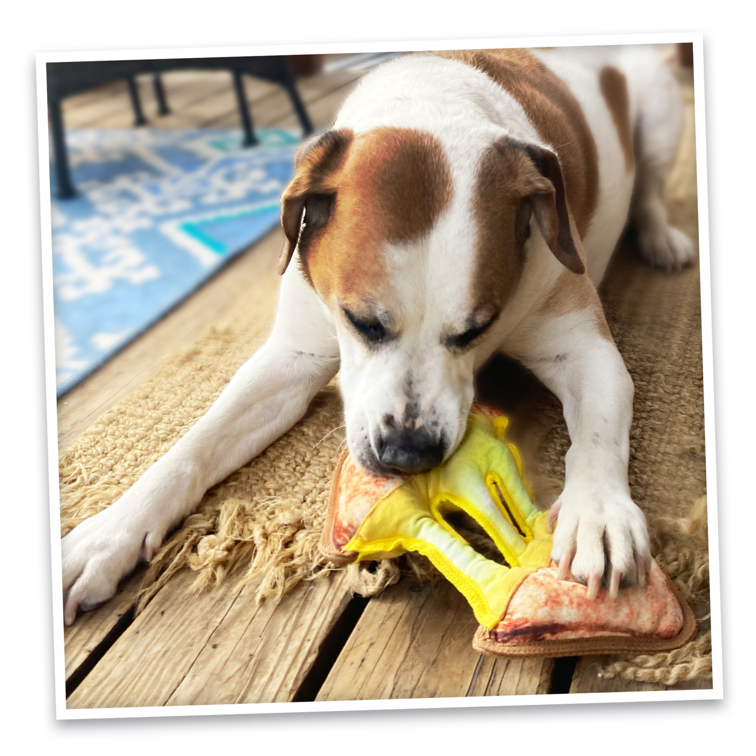 Doggijuana Tuffer Chewer Grilled Cheese Refillable Juananip Dog Toy